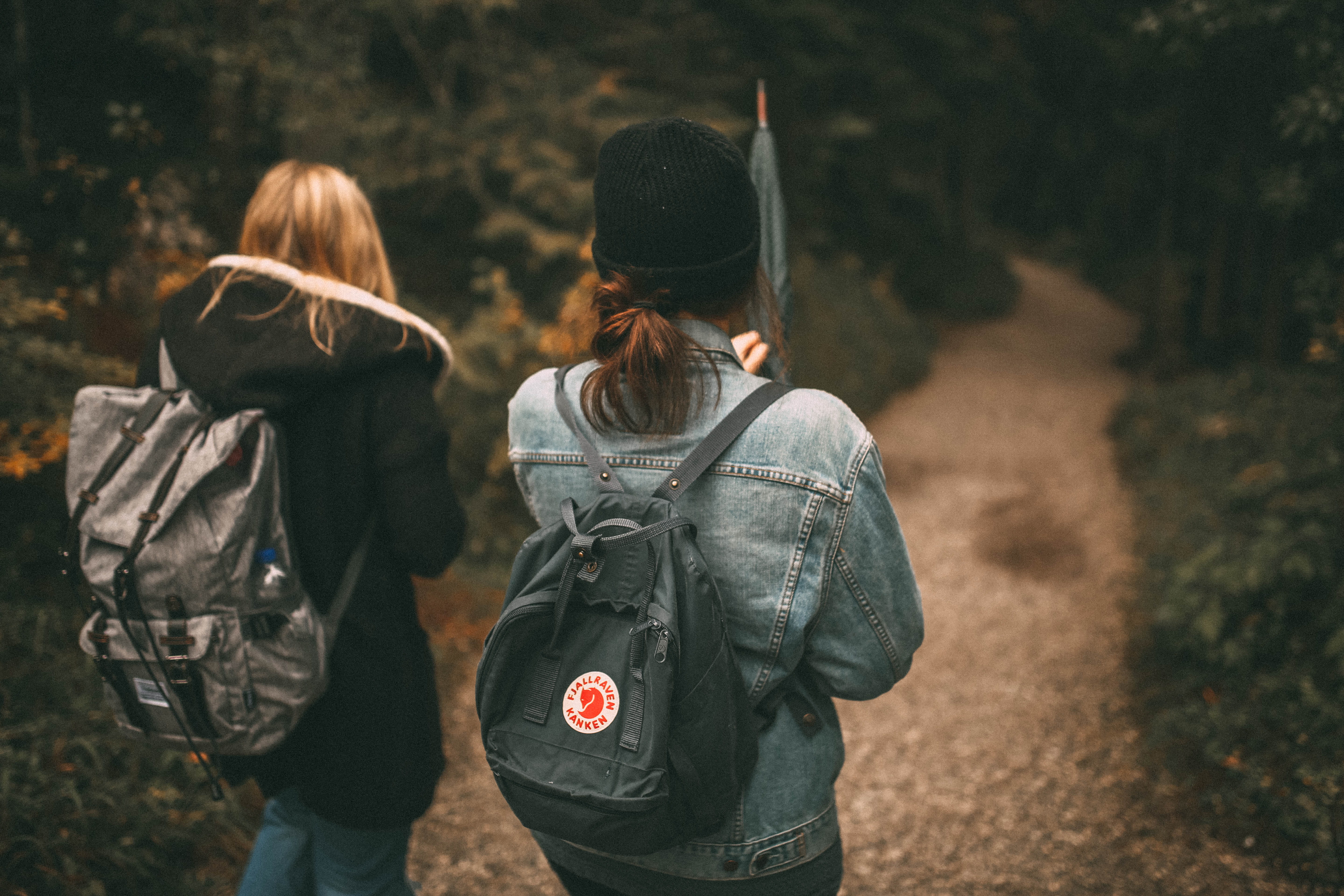 plants, hairstyle, rear view, people, forest, travel, emotion, backpack, 5K, outdoors, friends, tree, two people, pathway, woods, adult, grass, walking, HD Wallpaper