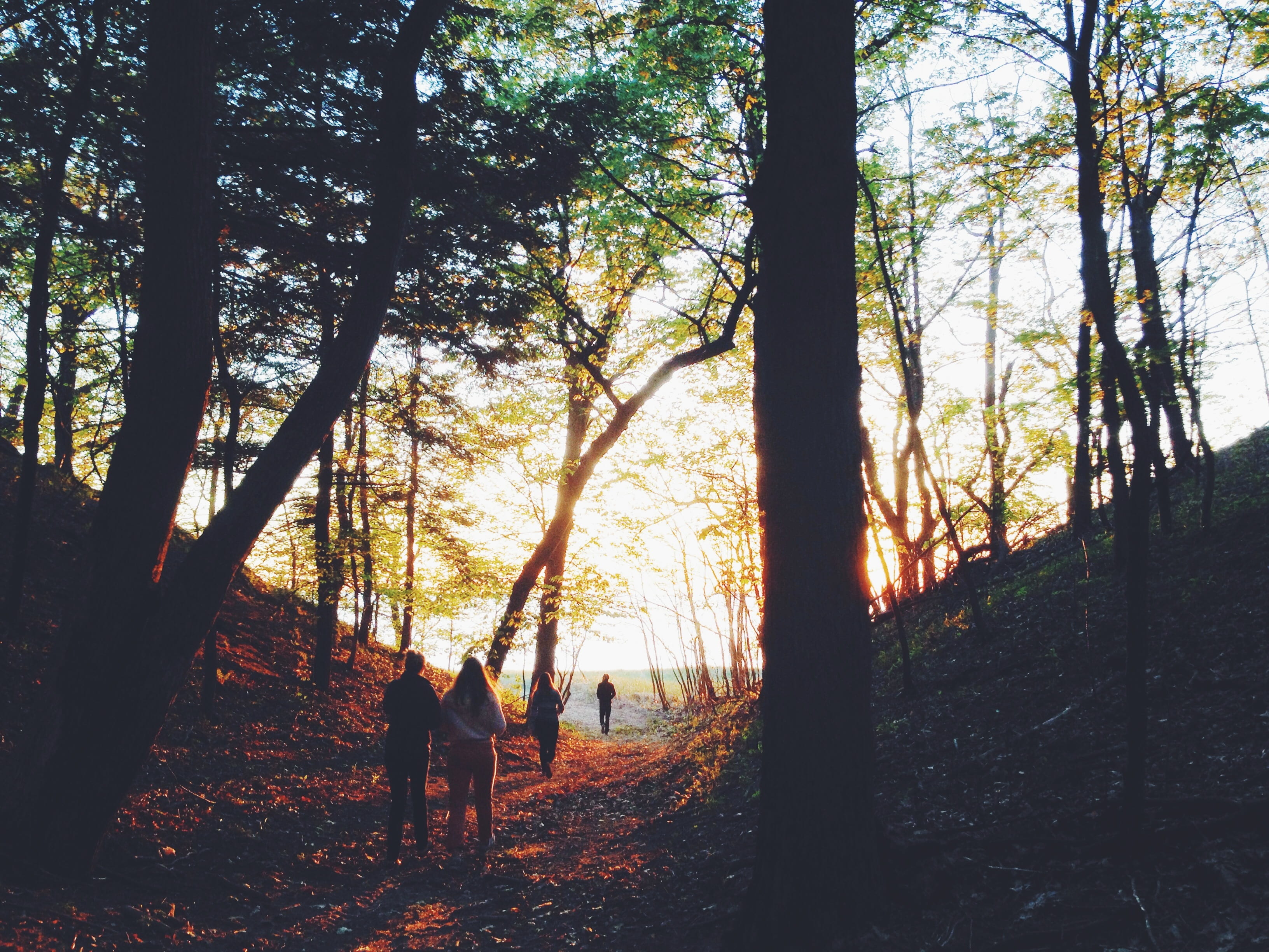 growth, 2K, taken, land, day, people, tranquility, non-urban scene, trees, plant, tranquil scene, nature, real people, sunset, two people, woods, women, HD Wallpaper