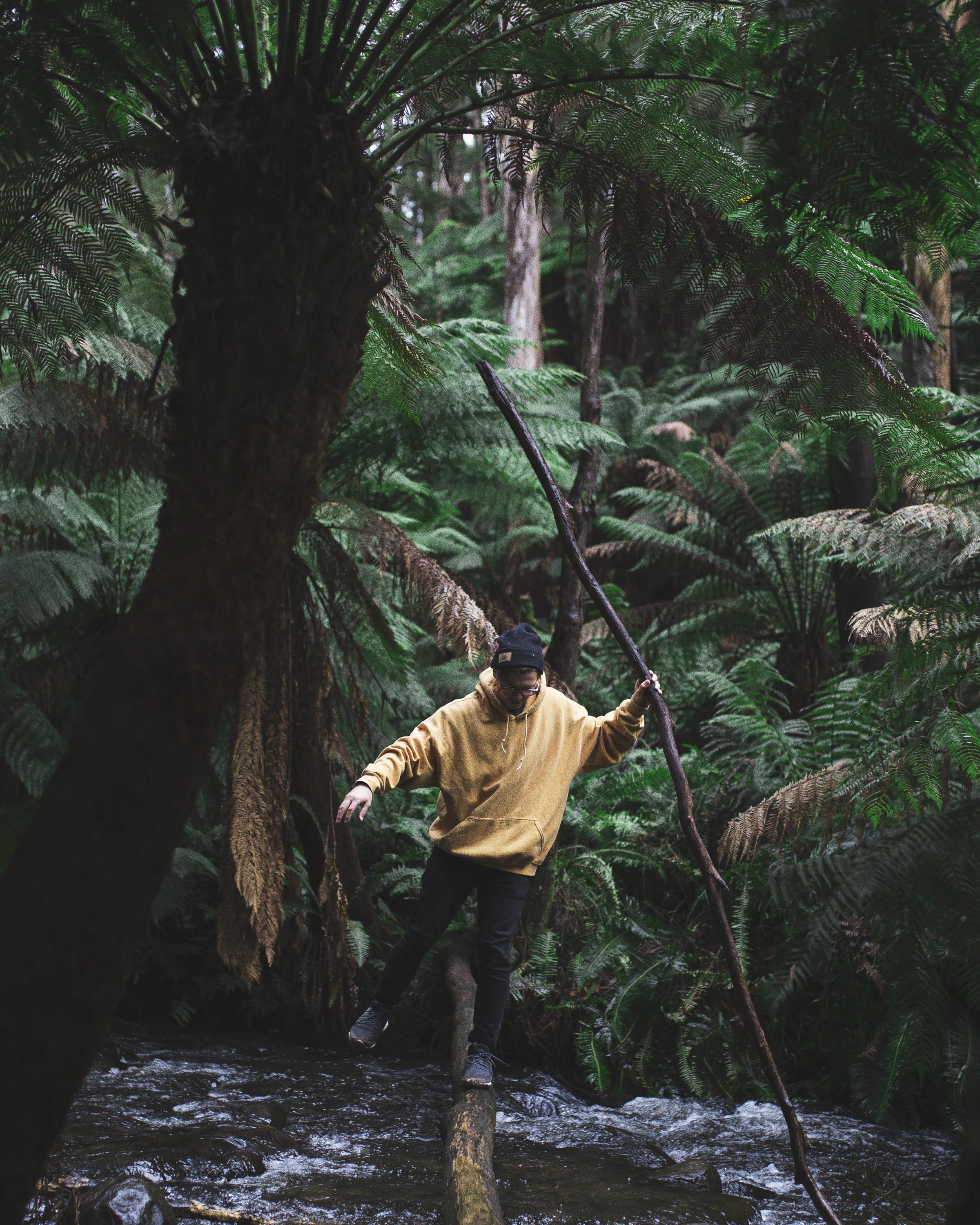 land, males, leisure activity, wood, beauty in nature, man, tree trunk, standing, forest, rear view, lifestyles, water, adventure, trunk, beige, people, Phone HD Wallpaper