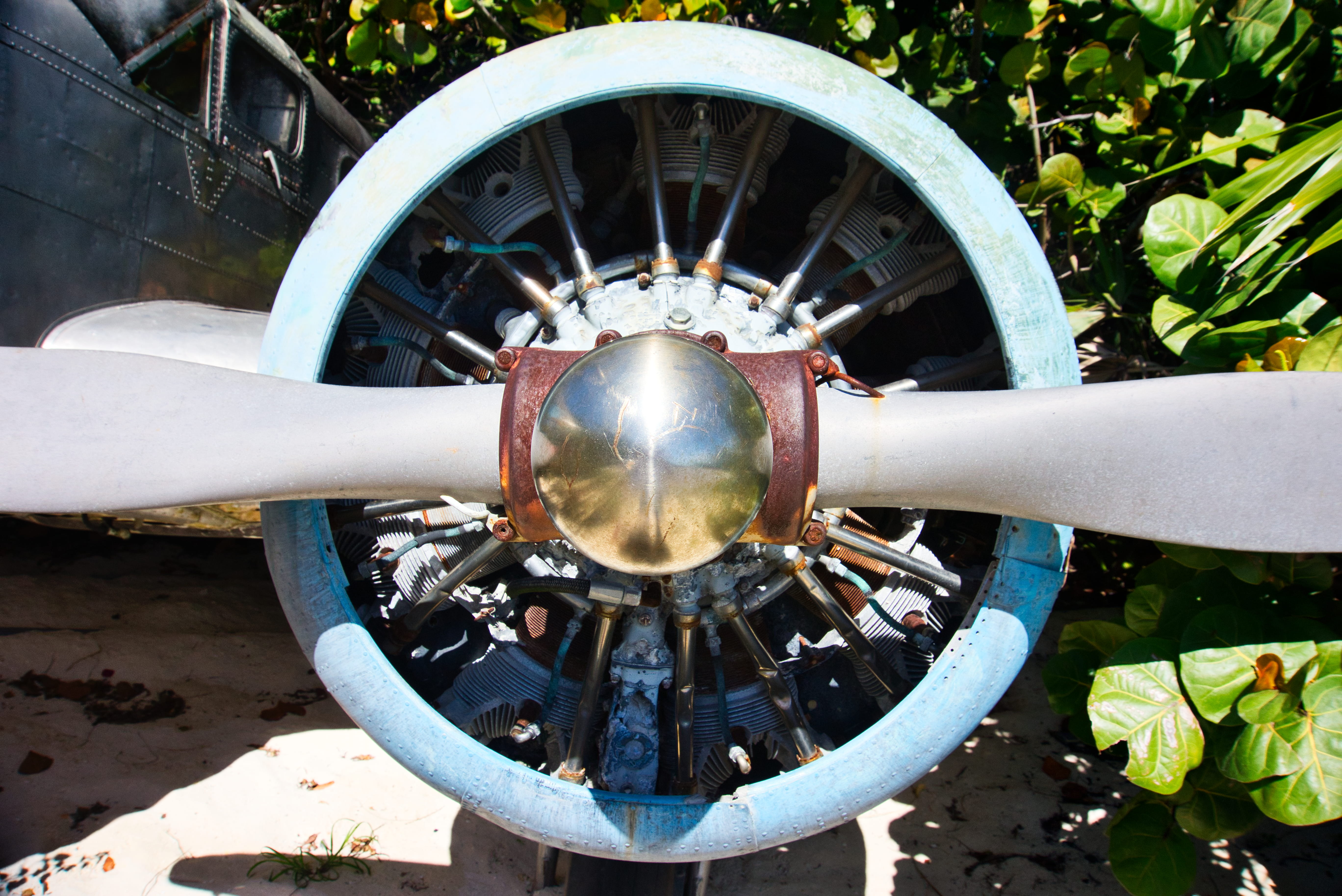 no people, circle, geometric shape, machinery, wheel, high angle view, metal, outdoors, nature, old, castaway cay, mode of transportation, plant, 5K, close-up, HD Wallpaper