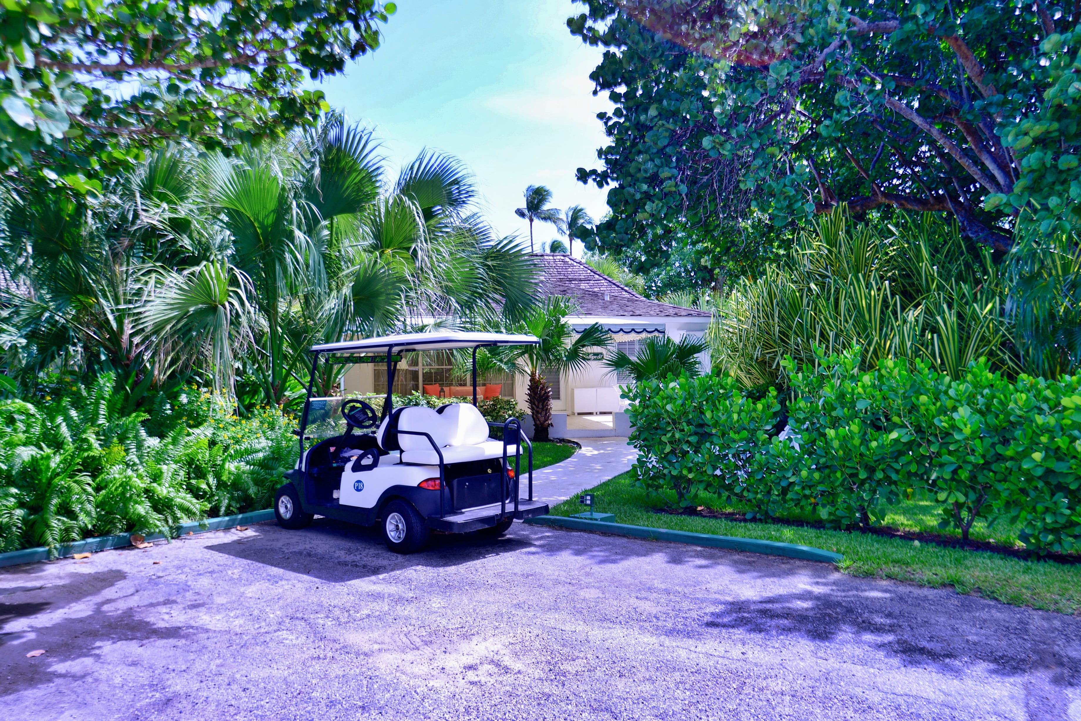 resort, real people, summer, city, land vehicle, 2K, growth, tropical climate, garden, mode of transportation, men, golf kart, flora, lyford cay, transportation, HD Wallpaper