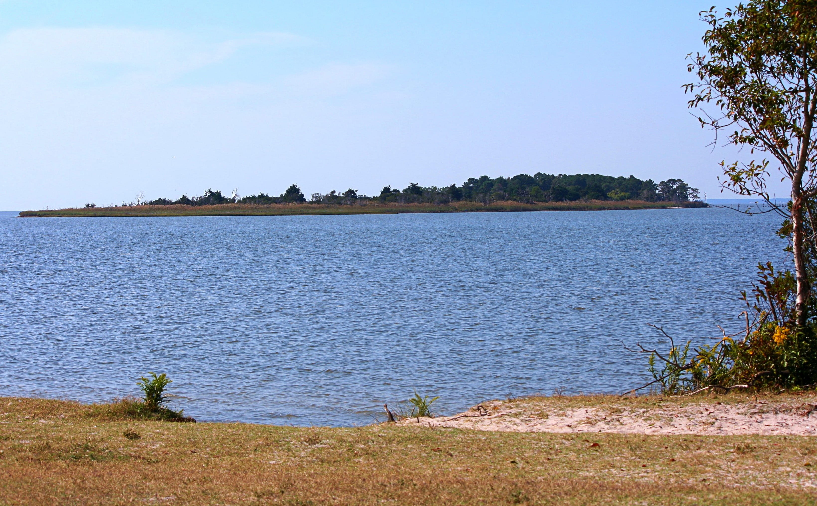 tranquility, Island, lake, caribbean, day, lagoon, blue, sky, no people, idyllic, paradise, outdoors, tree, Water, beauty in nature, sea, 2K, land, scenics - nature, HD Wallpaper