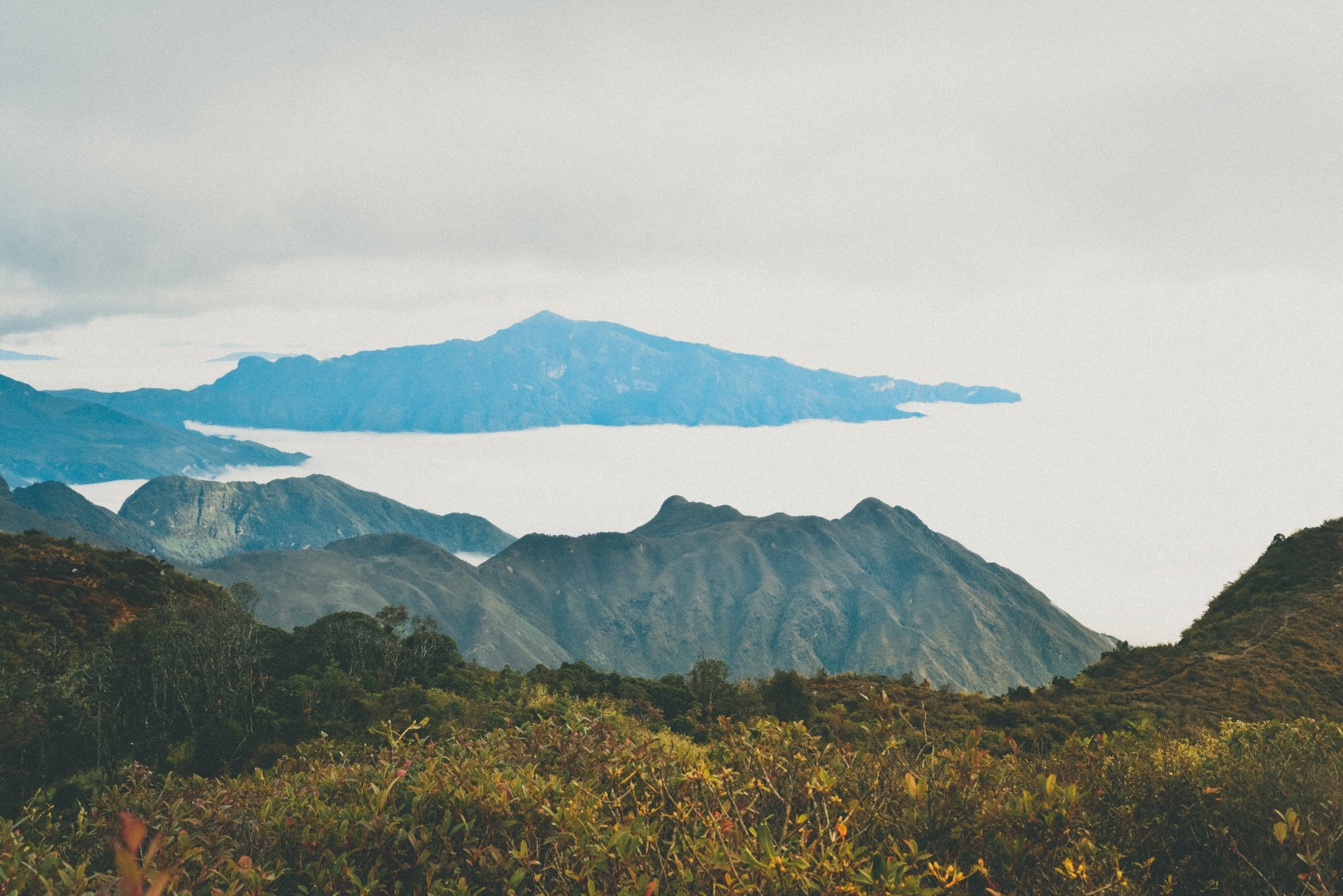 mountain peak, countryside, bạch mộc lương tử, wilderness, plant, tree, sea, sky, tranquility, mountain, leisure activities, cloud - sky, peak, non-urban scene, HD Wallpaper