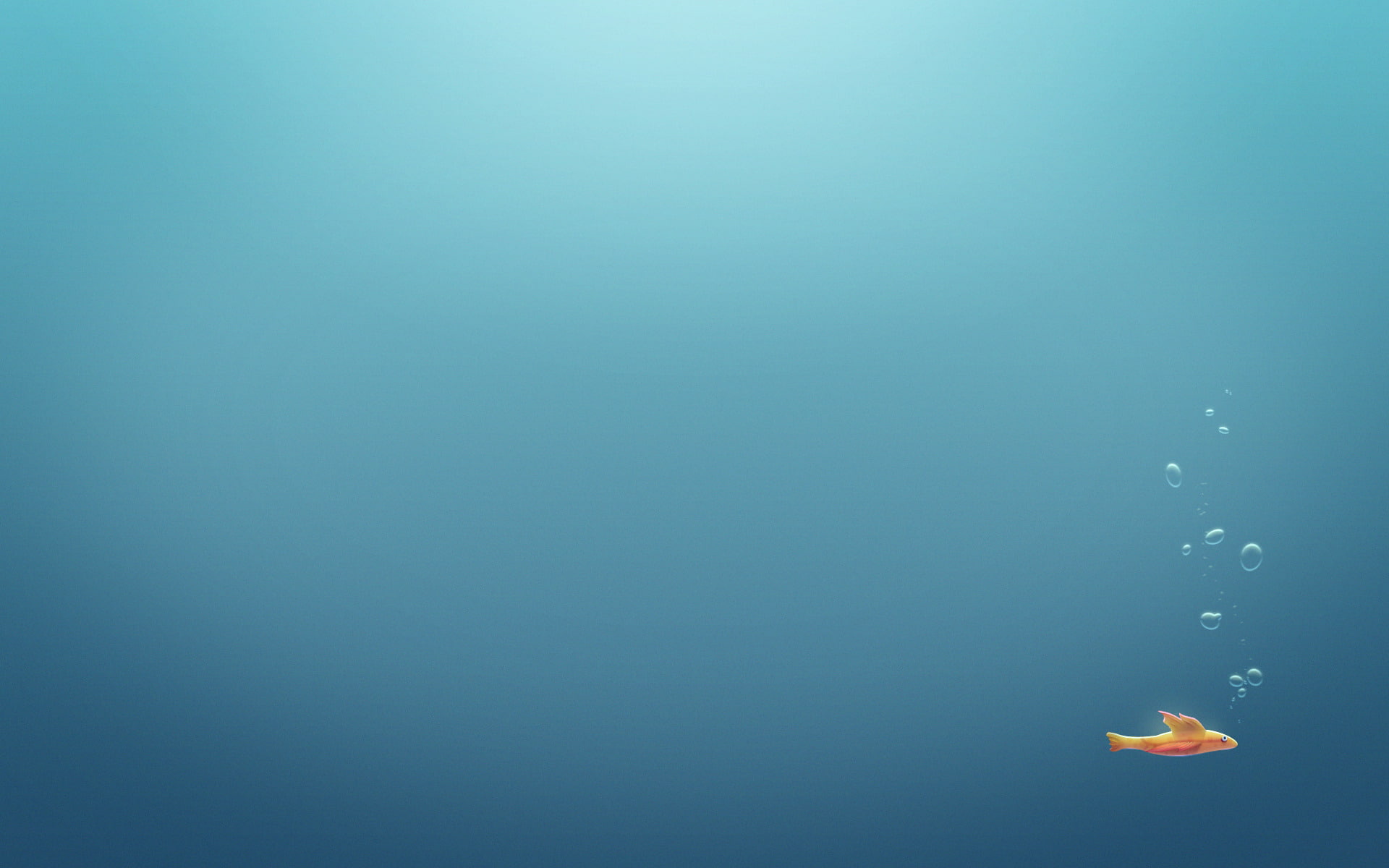 pools, bubble, underwater, aquariums, water, minimalism, bubbles, fish, sea, 1080P, the ocean, HD Wallpaper
