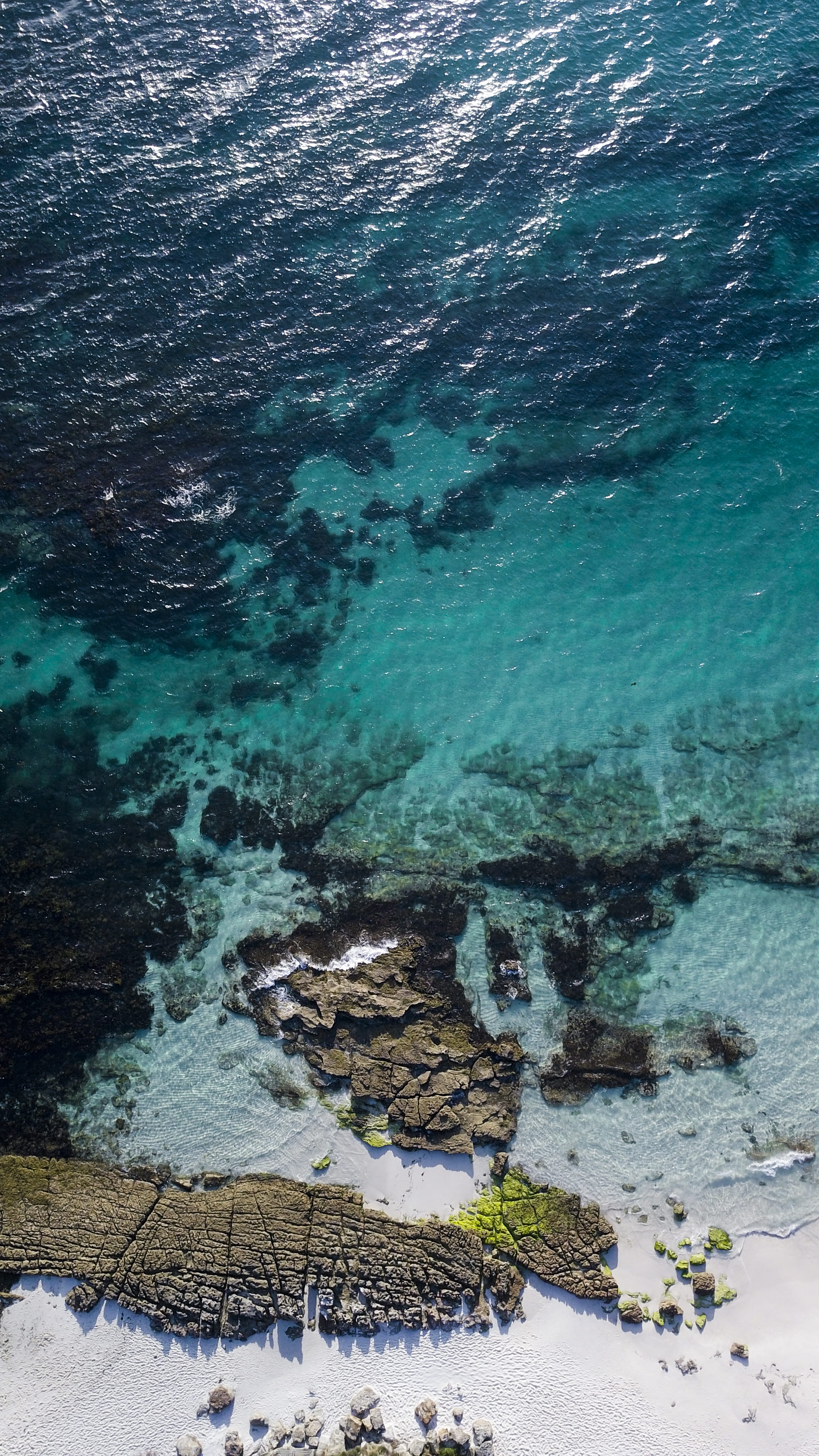 idyllic, diver, day, snorkeling, nature, rock - object, amphiprion, animal, reef, outdoors, rock, remote, body, turquoise colored, solid, no people, photography, Phone HD Wallpaper