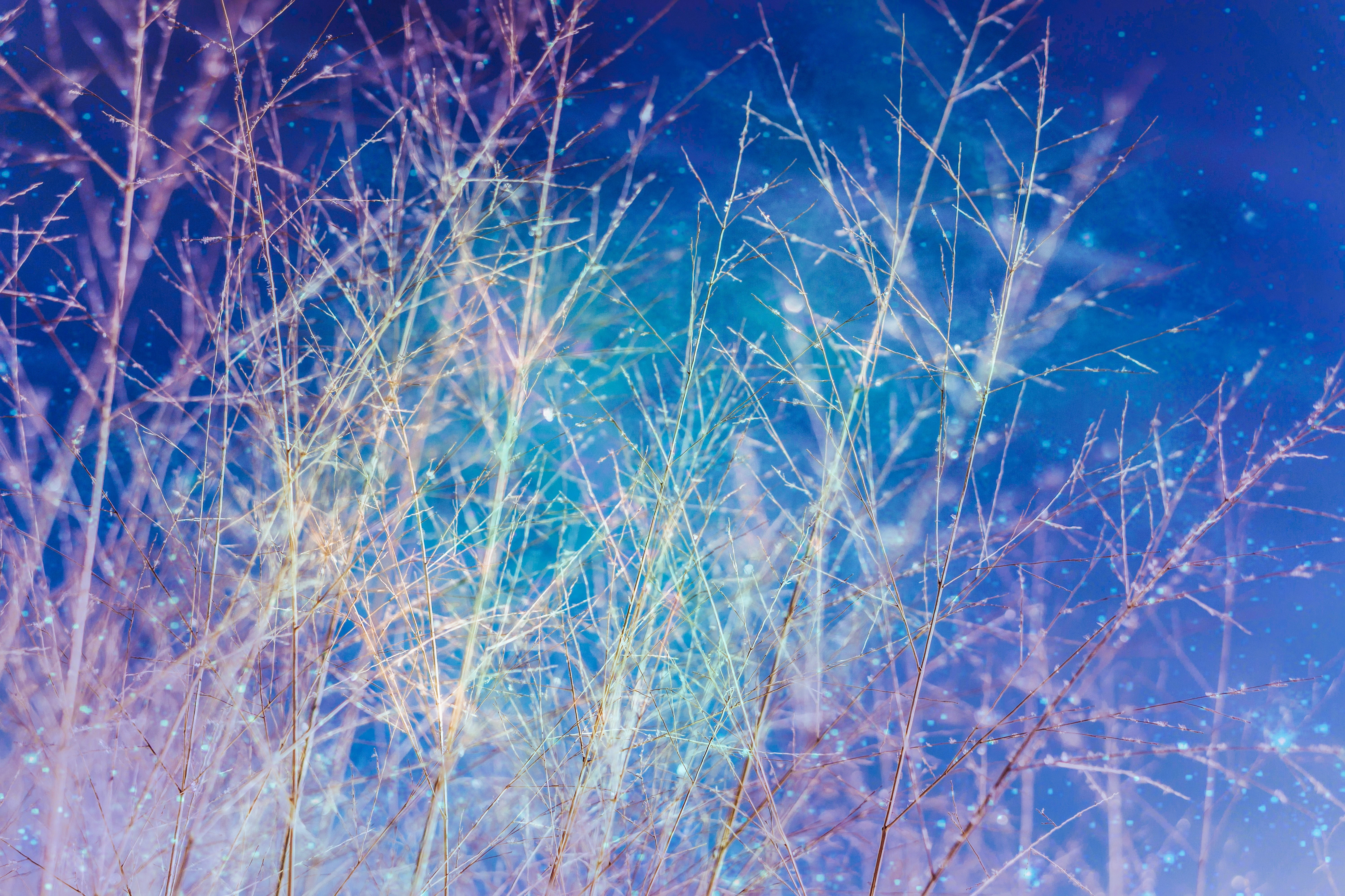 shiny, frozen, nature, cold - Temperature, weather, snow, motion, pattern, beauty In Nature, glowing, glass - material, illuminated, light - Natural Phenomenon, HD Wallpaper