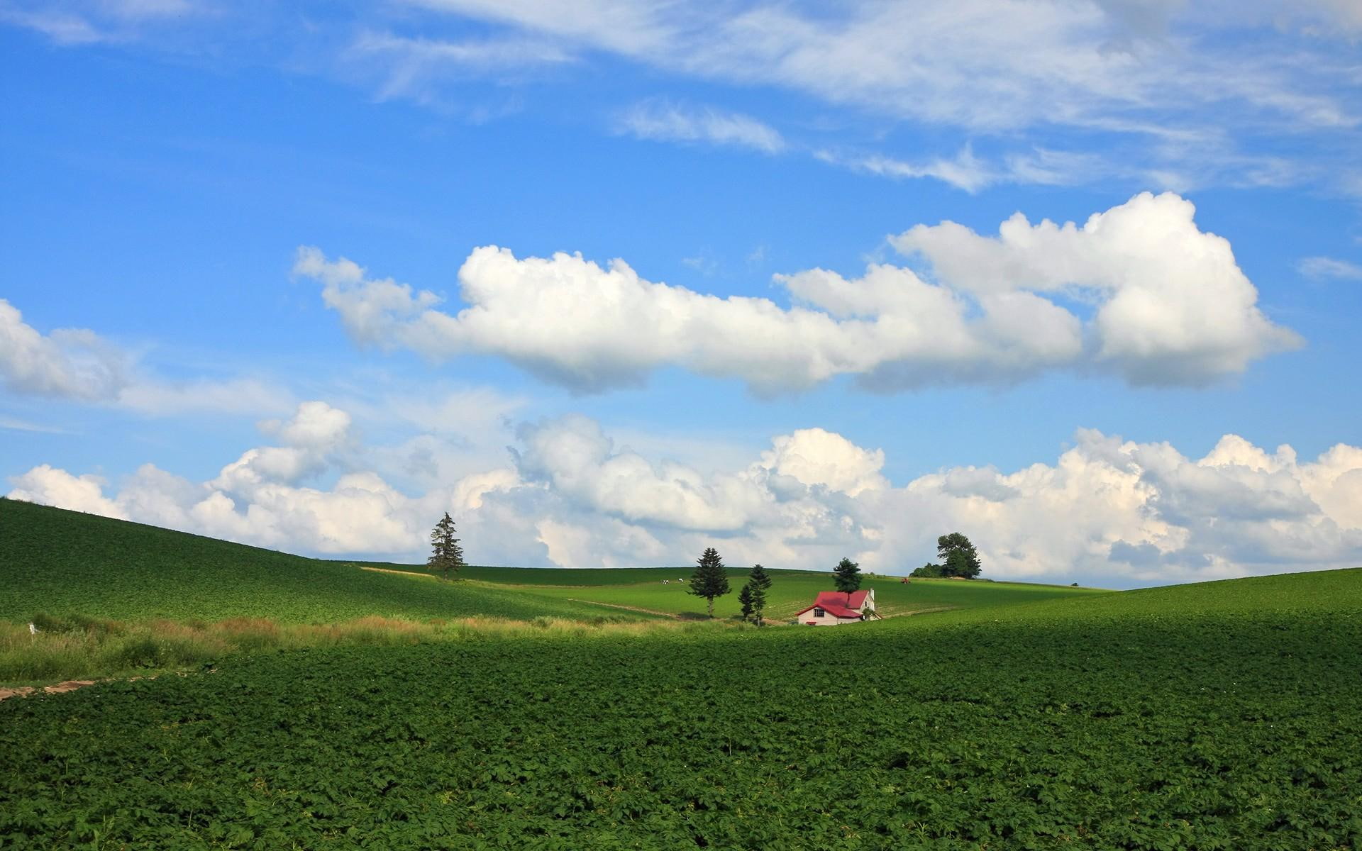 landscape, hokkaido, lscape, 3d and abstract, 1080P, hq, HD Wallpaper