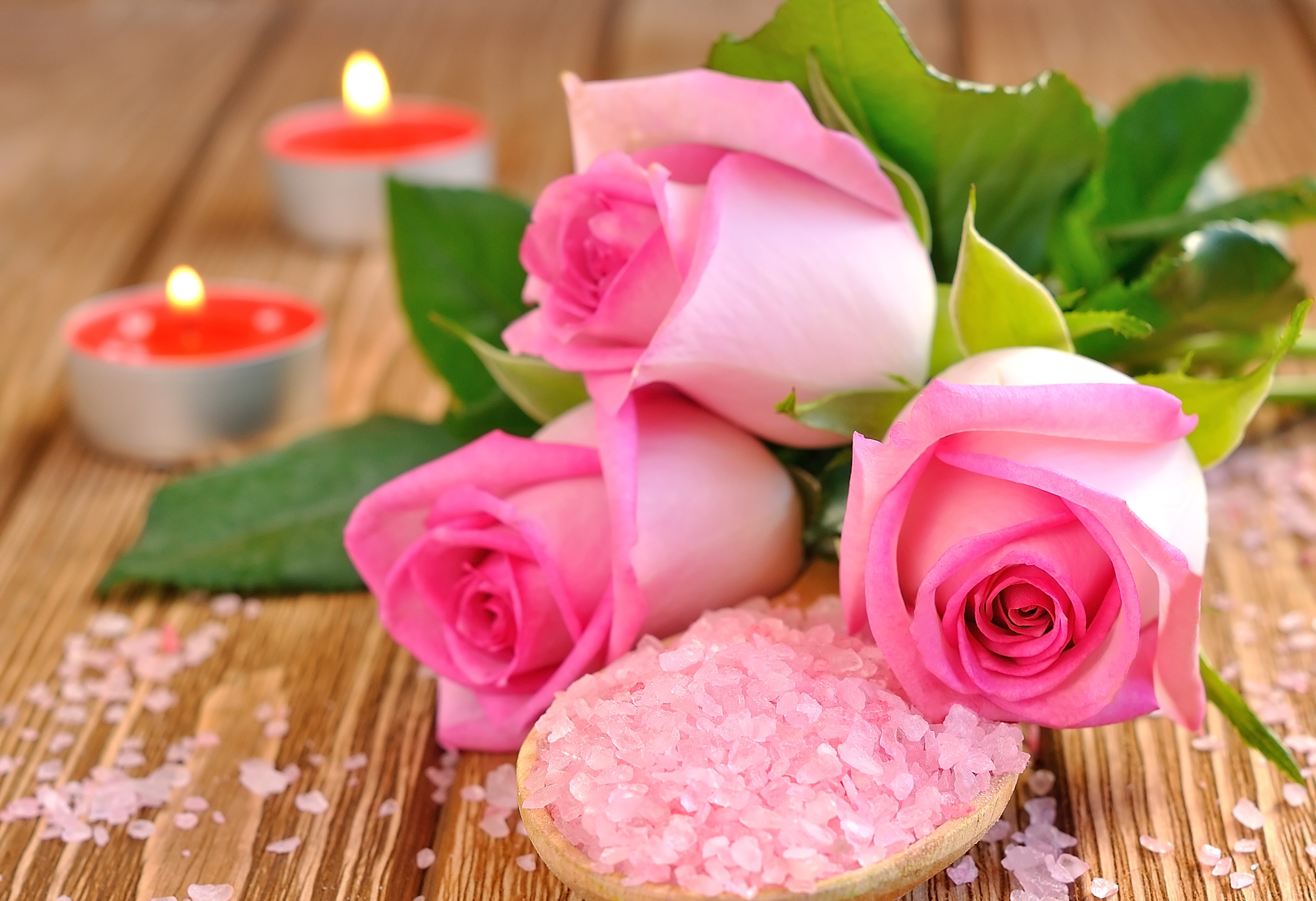 5K, celebration, pink, plant, buds, flower, freshness, romance, scented, focus on foreground, single Flower, nature, close-up, beautiful, love, salt, purple, HD Wallpaper