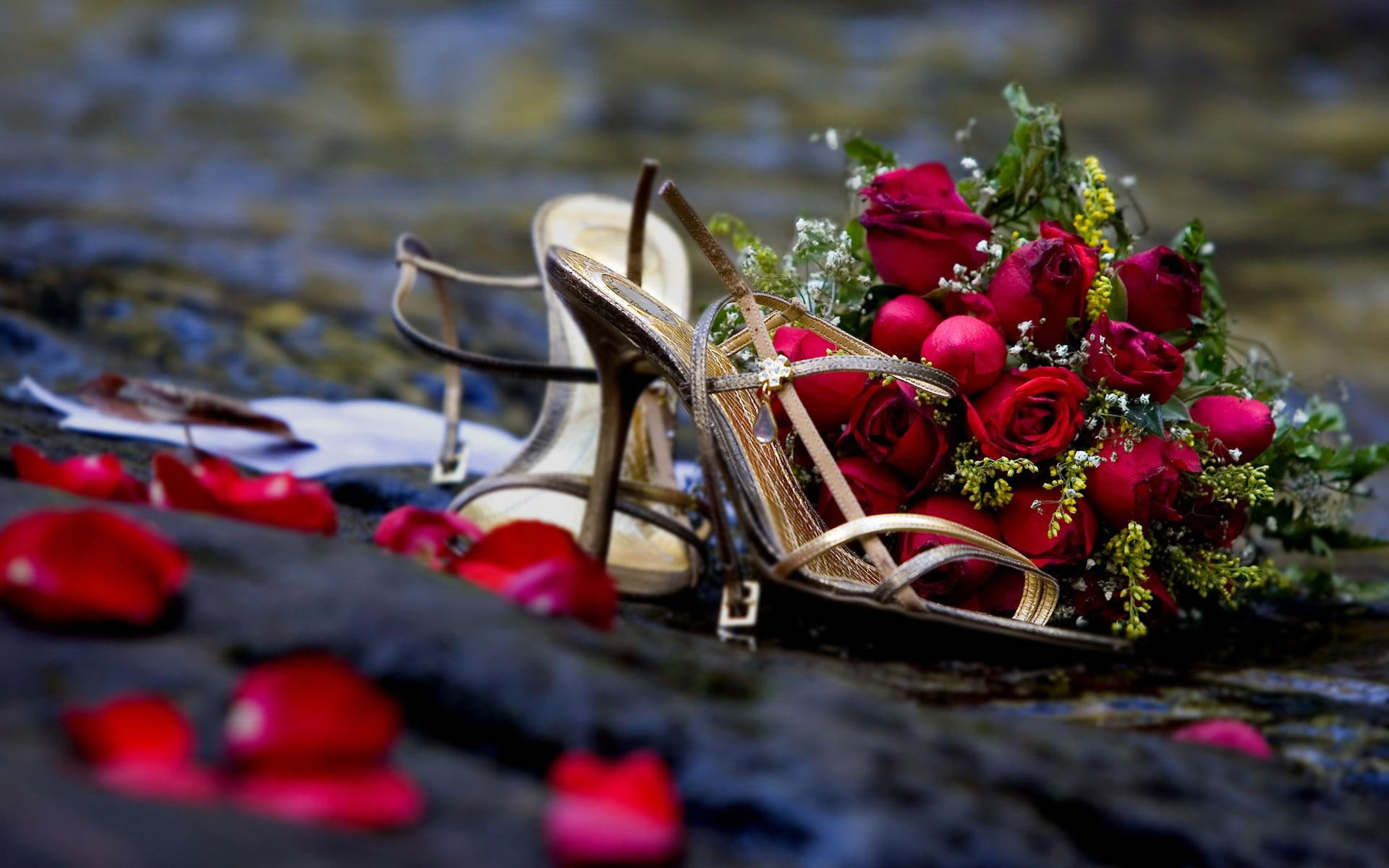rose, heels, golden, red, 1920x1200, roses, flowers, shoes, pair, open, 1080P, brown, toe, HD Wallpaper