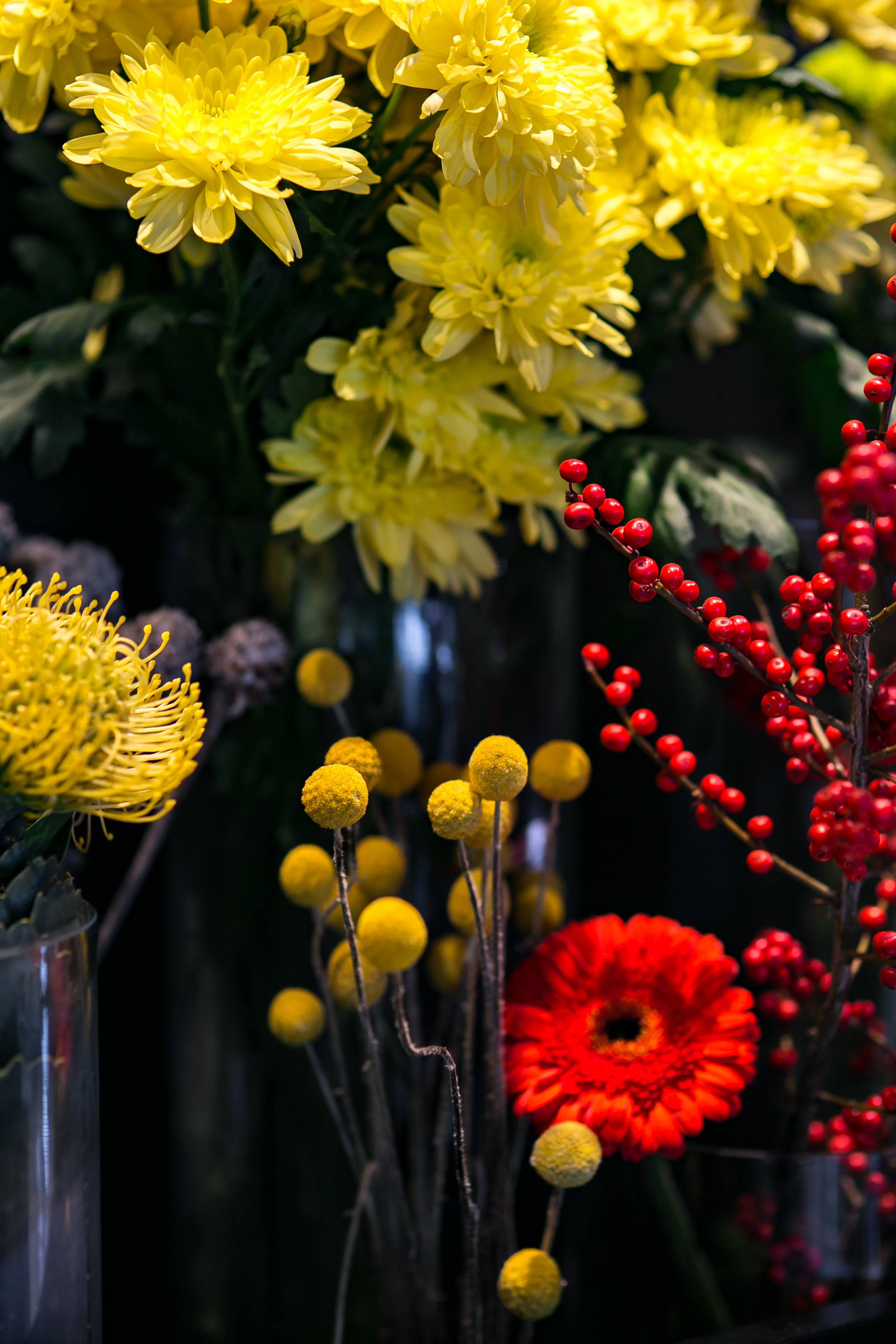 outdoors, flowering plant, vulnerability, flower, 4K, colourful, bouquet, composition, beauty in nature, bunch of flowers, plant, day, inflorescence, nature, Phone HD Wallpaper
