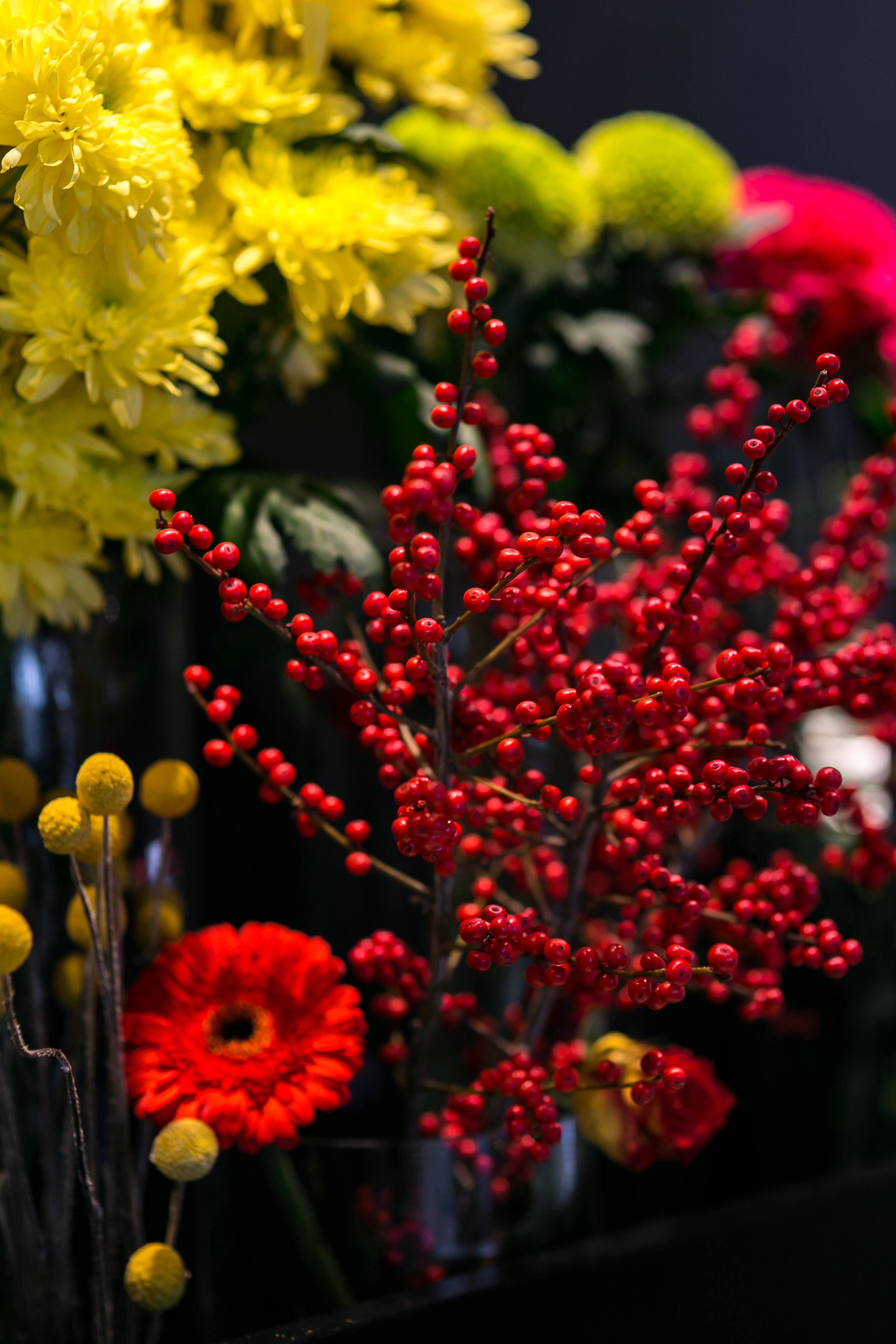 pollen, vulnerability, fragility, beauty in nature, inflorescence, petal, arrangement, flowering plant, freshness, flower, composition, bouquet, colourful, Phone HD Wallpaper
