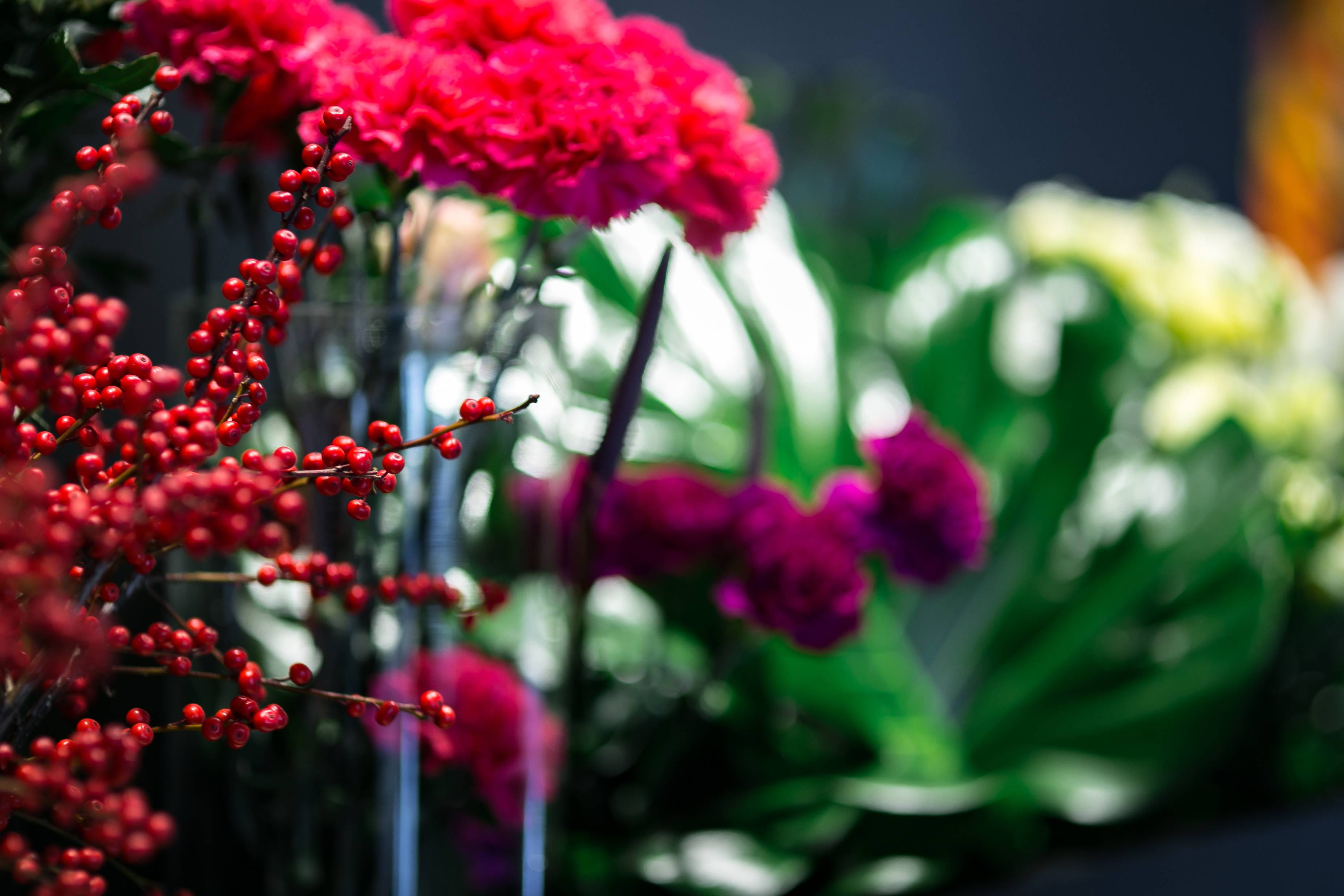 pretty, springtime, composition, summer, pink color, close-up, yellow, food, growth, nature, fragility, beauty In Nature, red, flower Head, freshness, food and drink, HD Wallpaper