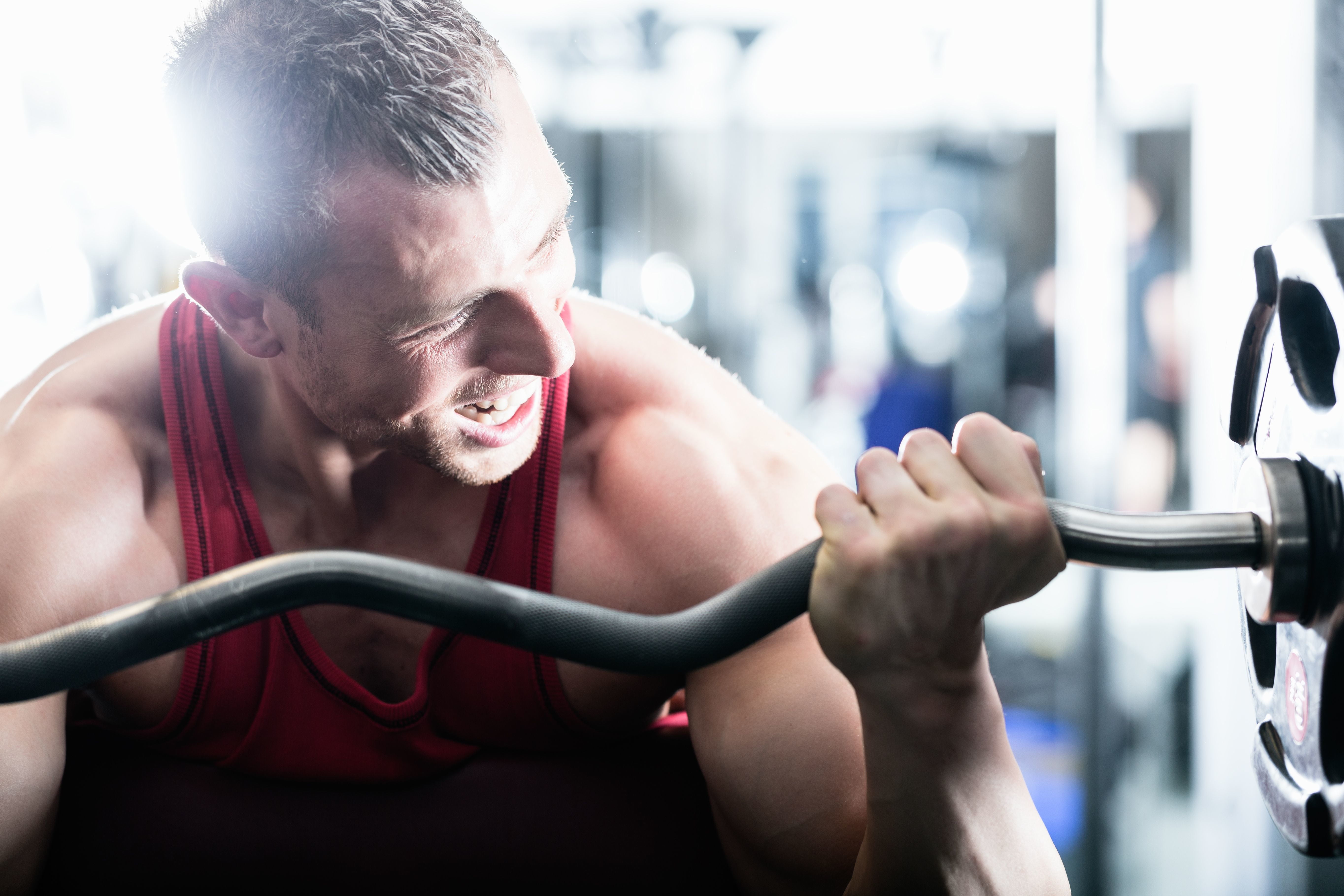 adult, muscular build, body conscious, focus on foreground, indoors, black, ez, one person, curl, gray, sports training, exercising, sport, sports clothing, HD Wallpaper