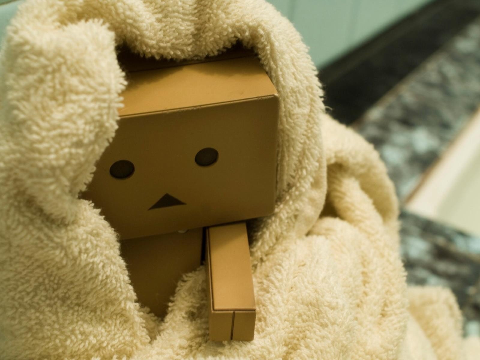 childhood, softness, art and craft, box, relaxation, teddy, towels, focus on foreground, home interior, cardboard box, indoors, representation, rug, stuffed toy, HD Wallpaper