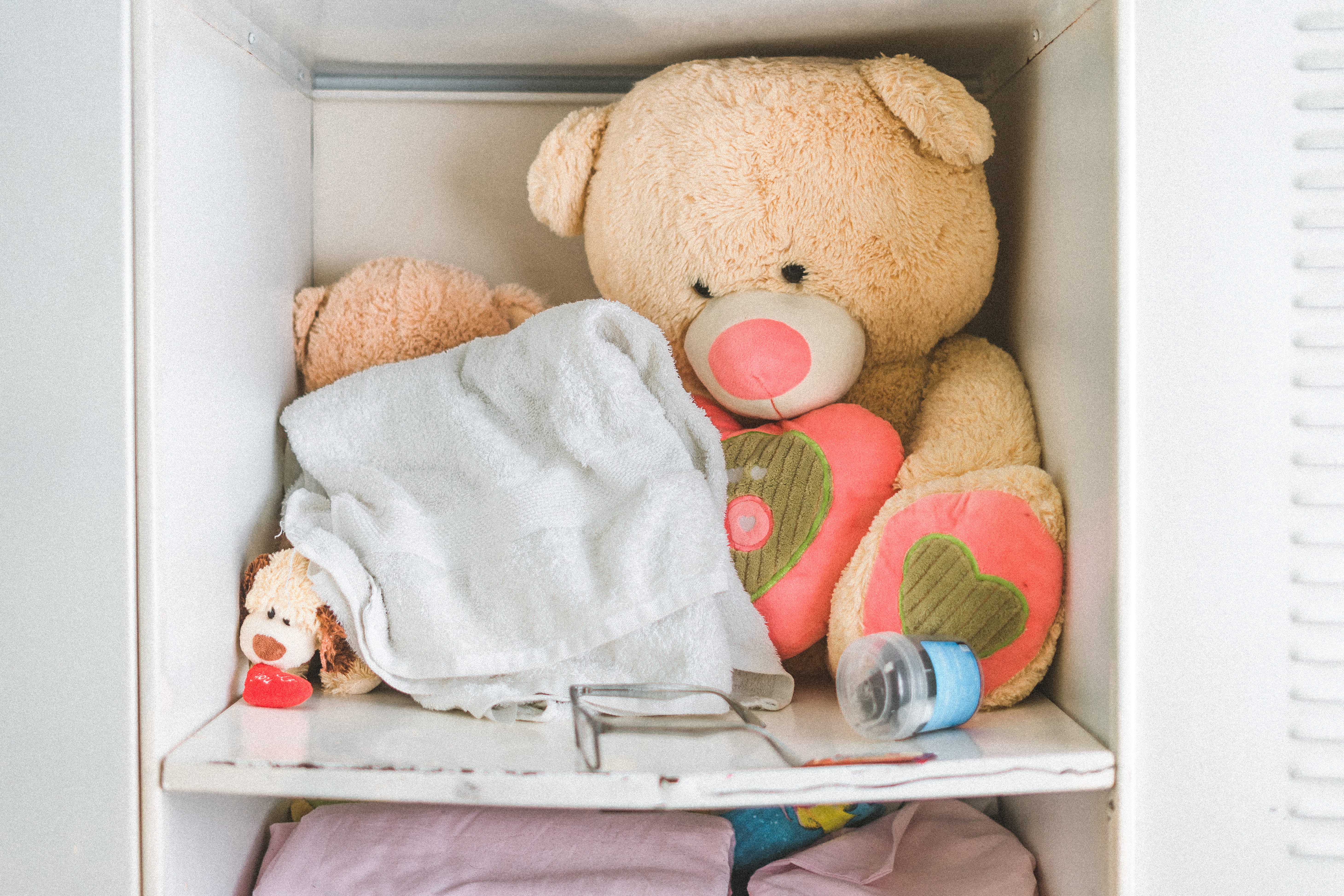 dog, box, toy, cardboard, representation, stuffed toy, teddy, home interior, furniture, animal representation, cabinet, no people, close-up, softness, brown, HD Wallpaper