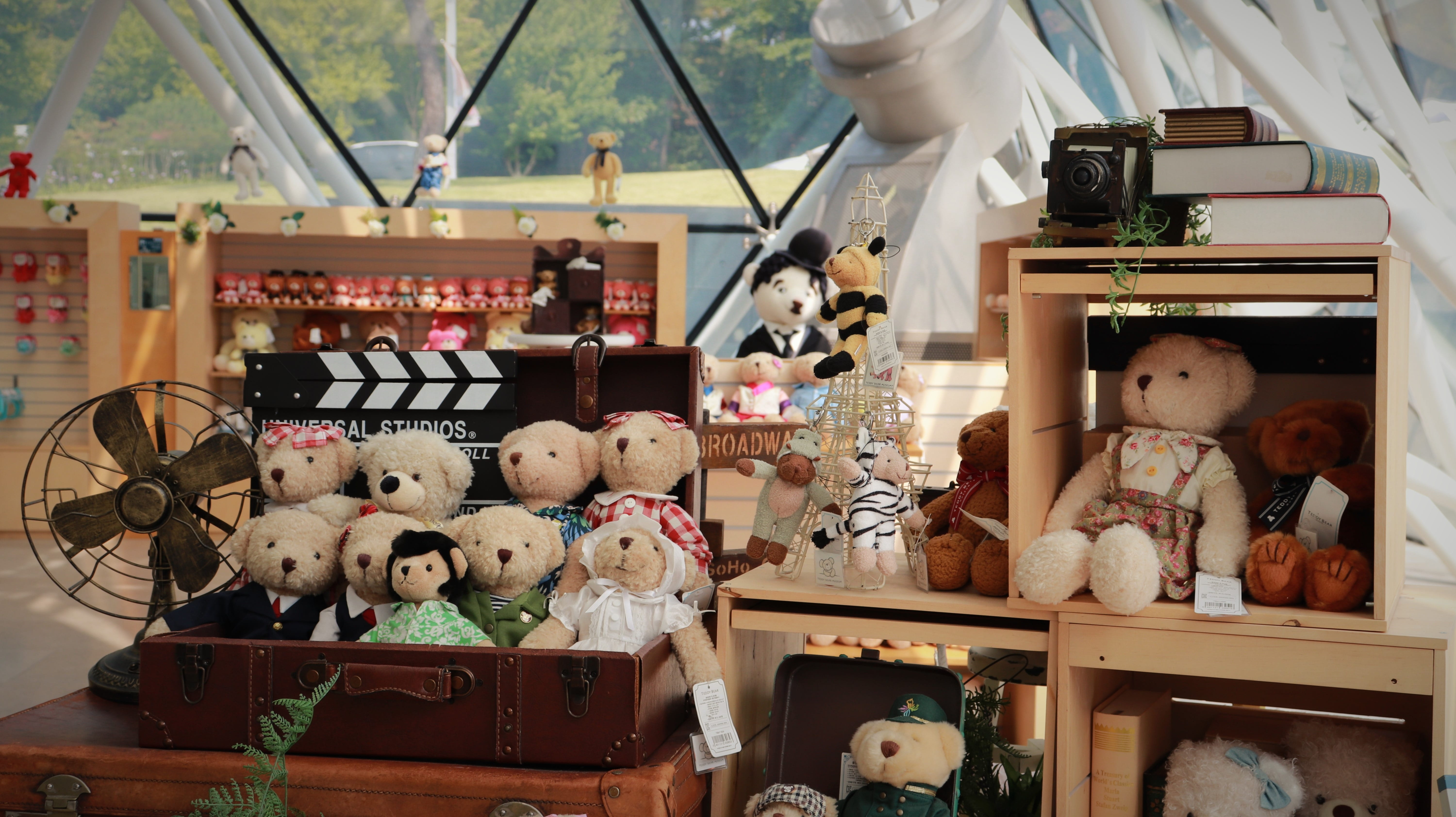 teddy, arrangement, antique, toy, bear, art and craft, abundance, store, souvenirs, pretty, variation, winnie, doll, retail, human representation, retail display, HD Wallpaper