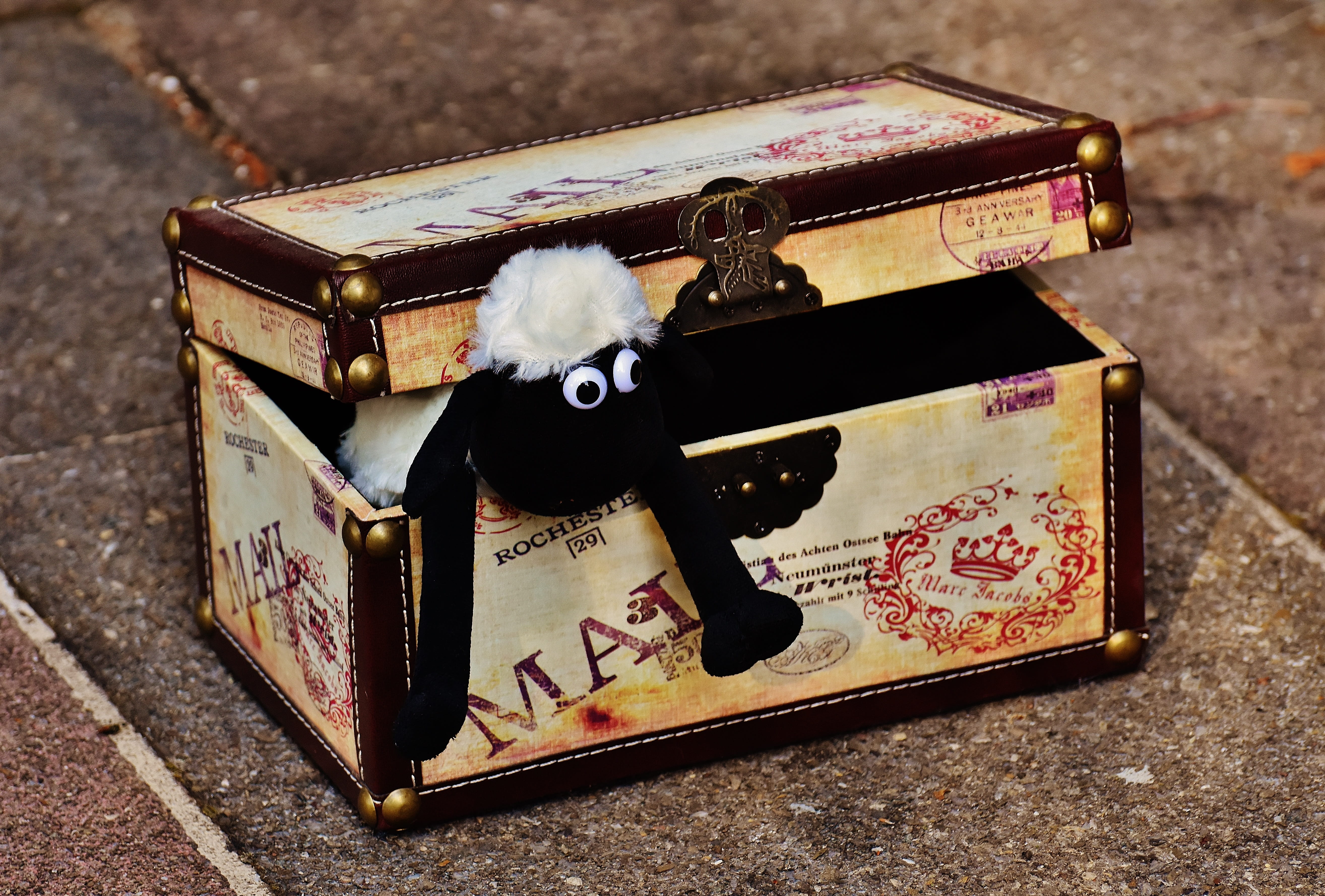 cute, box - container, luggage, stuffed animal, fun, wealth, old, 5K, Funny, representation, old-fashioned, day, indoors, Animal, suitcase, toys, sweet, HD Wallpaper