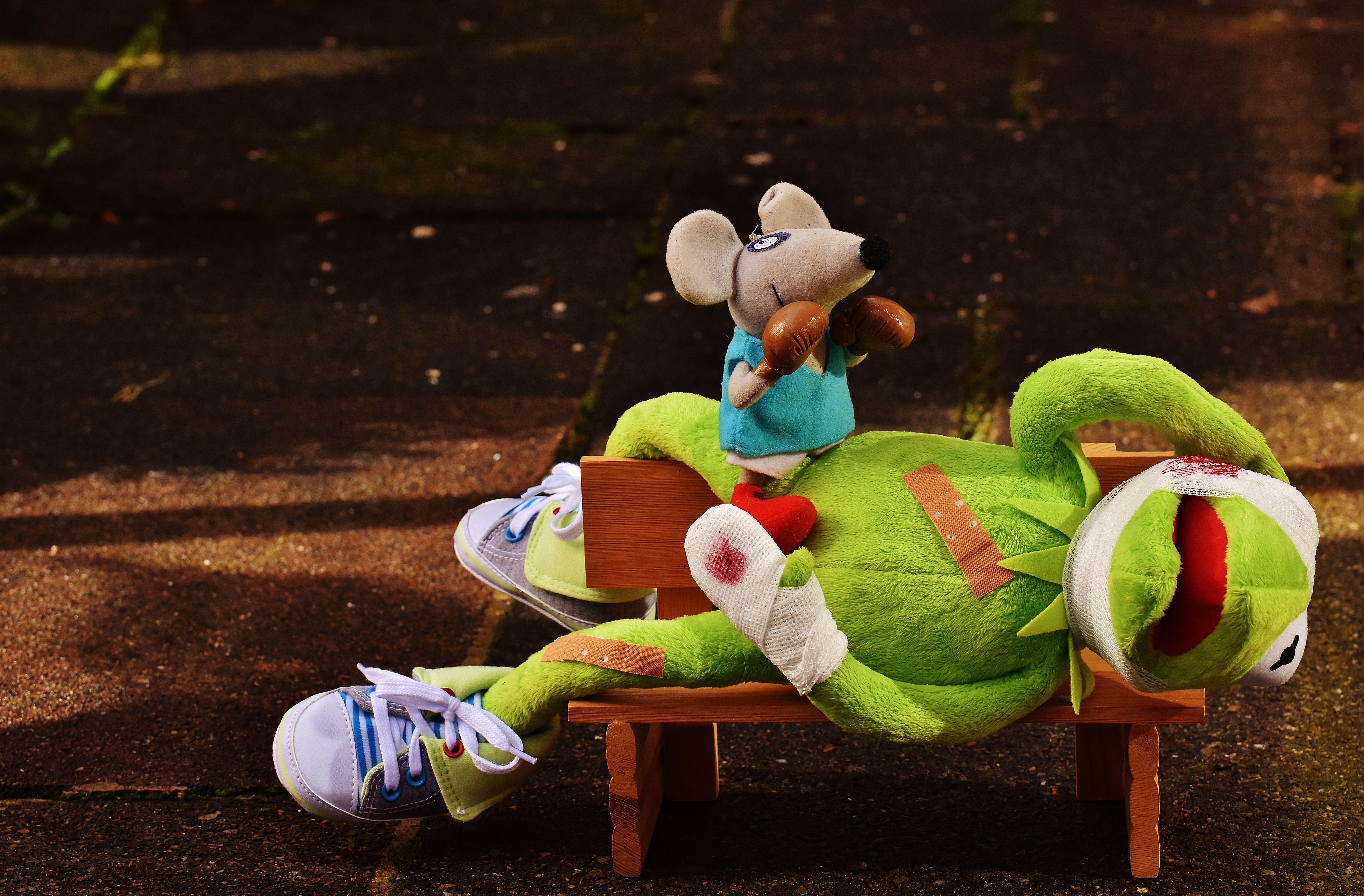 christmas ornament, nature, animal, boxing match, frog, children, holiday, kermit, close-up, cute, still life, injured, mouse, art and craft, stuffed animal, HD Wallpaper
