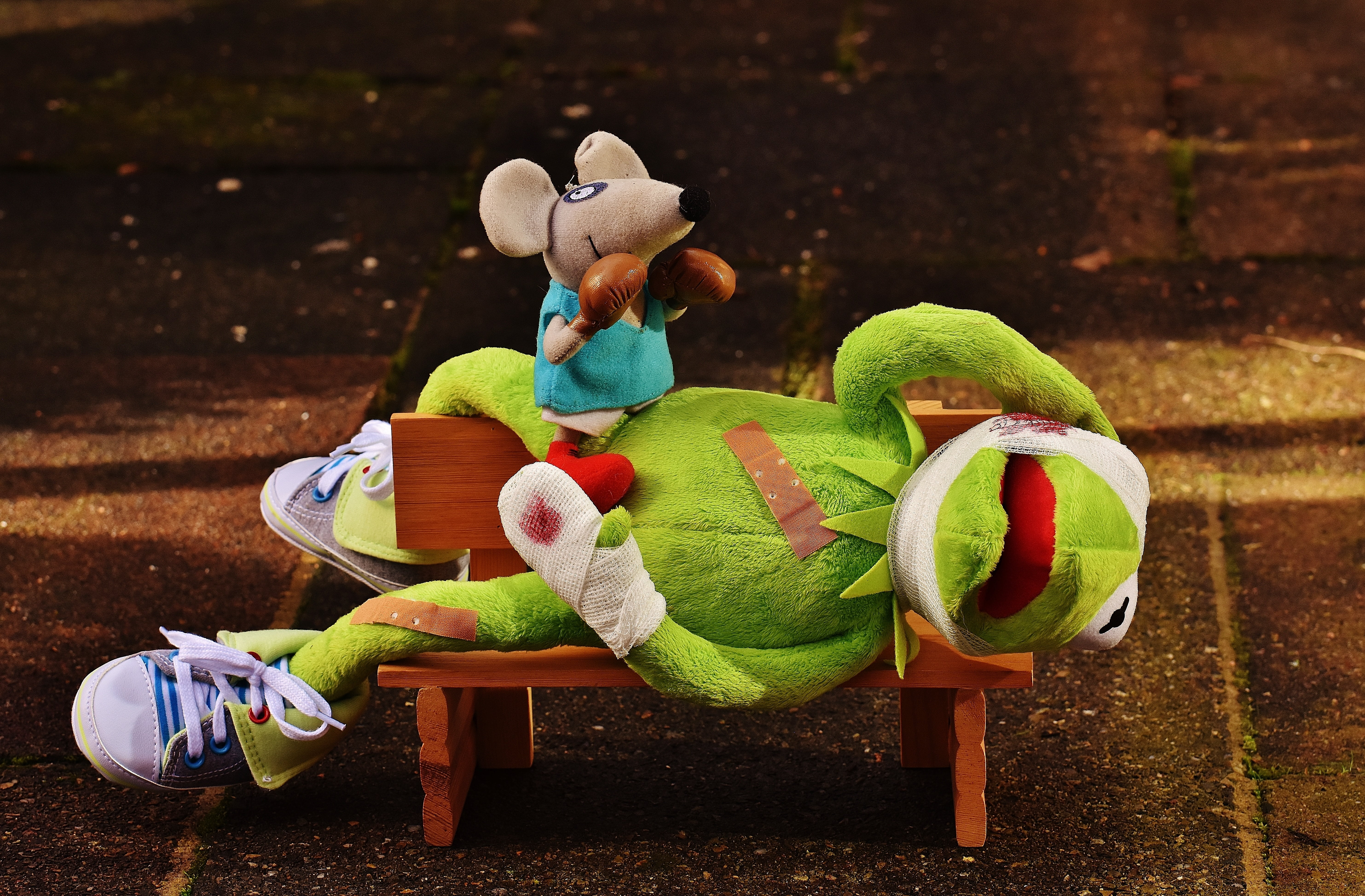 celebration, cloth figure, christmas, figure, mouse, boxing match, multi colored, no people, funny, creativity, craft, holiday, kermit, patch, 5K, representation, HD Wallpaper