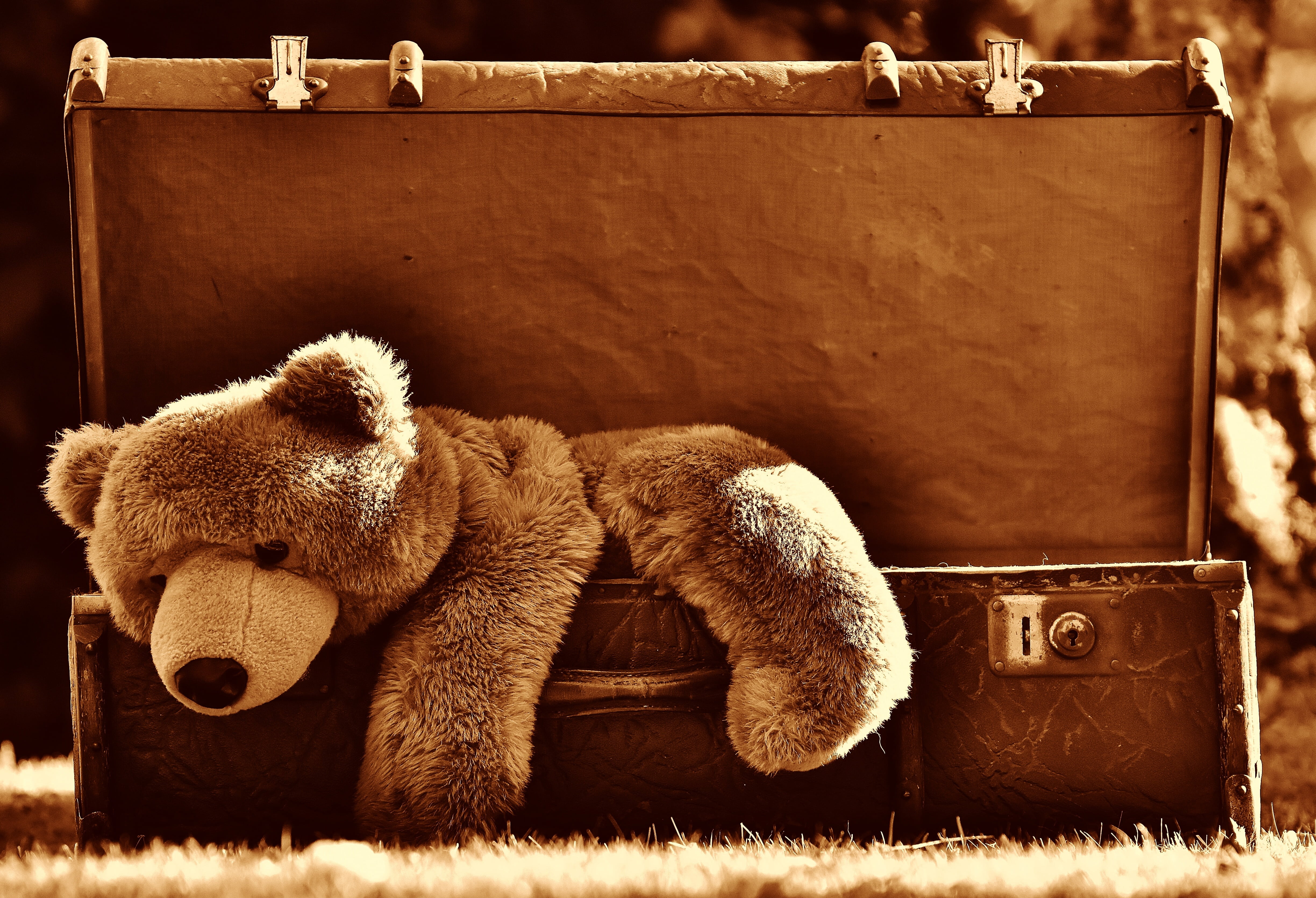 luggage, curious, day, stuffed, animal, brown, junk, pets, teddy bear, funny, 4K, relaxation, antique, stuffed toy, toy, box, nature, no people, leather, HD Wallpaper