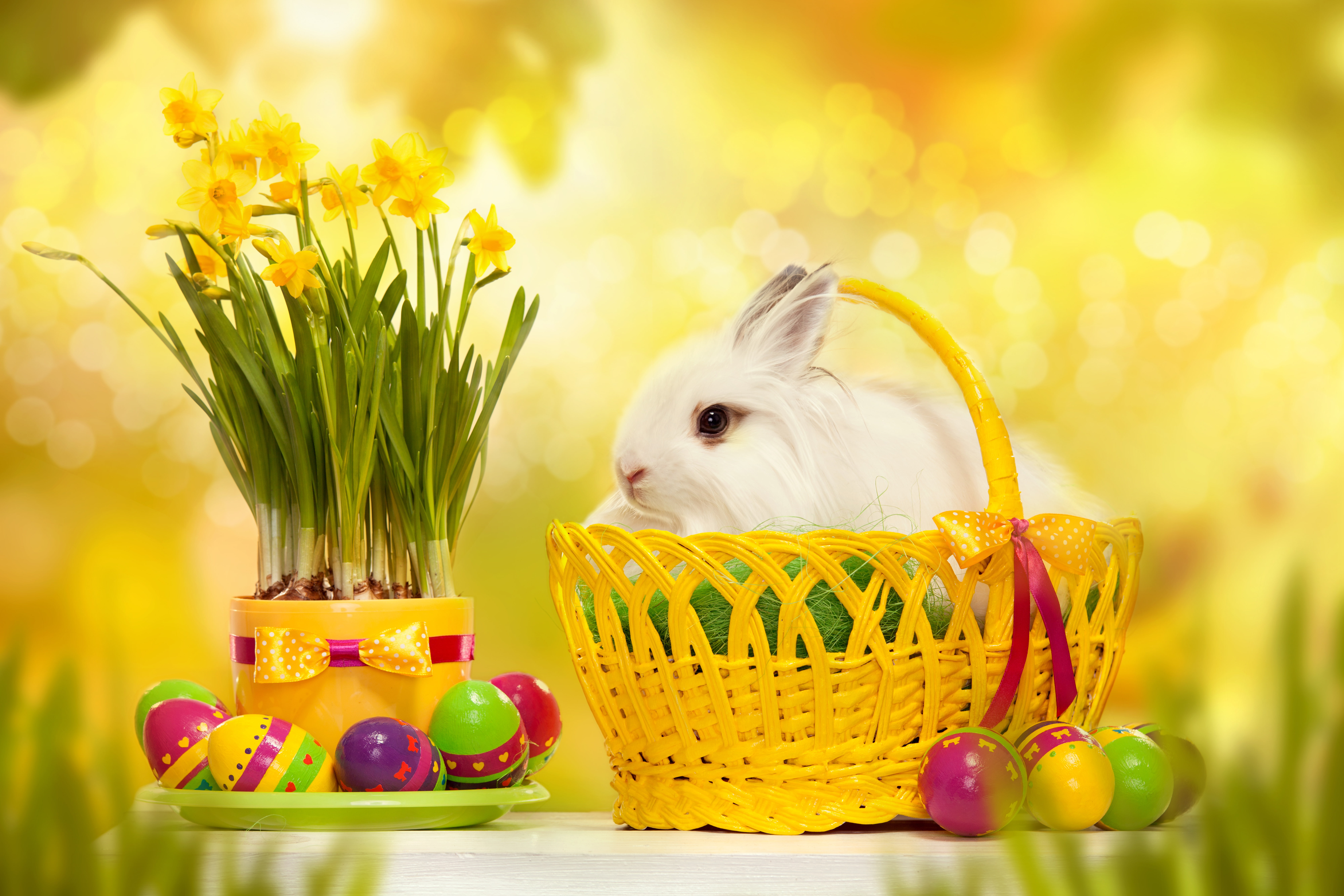 yellow, rabbit, easter cake, fluffy, mammal, animal, no people, basket, freshness, pets, Easter, backgrounds, cultures, flowering plant, young Animal, multi Colored, HD Wallpaper