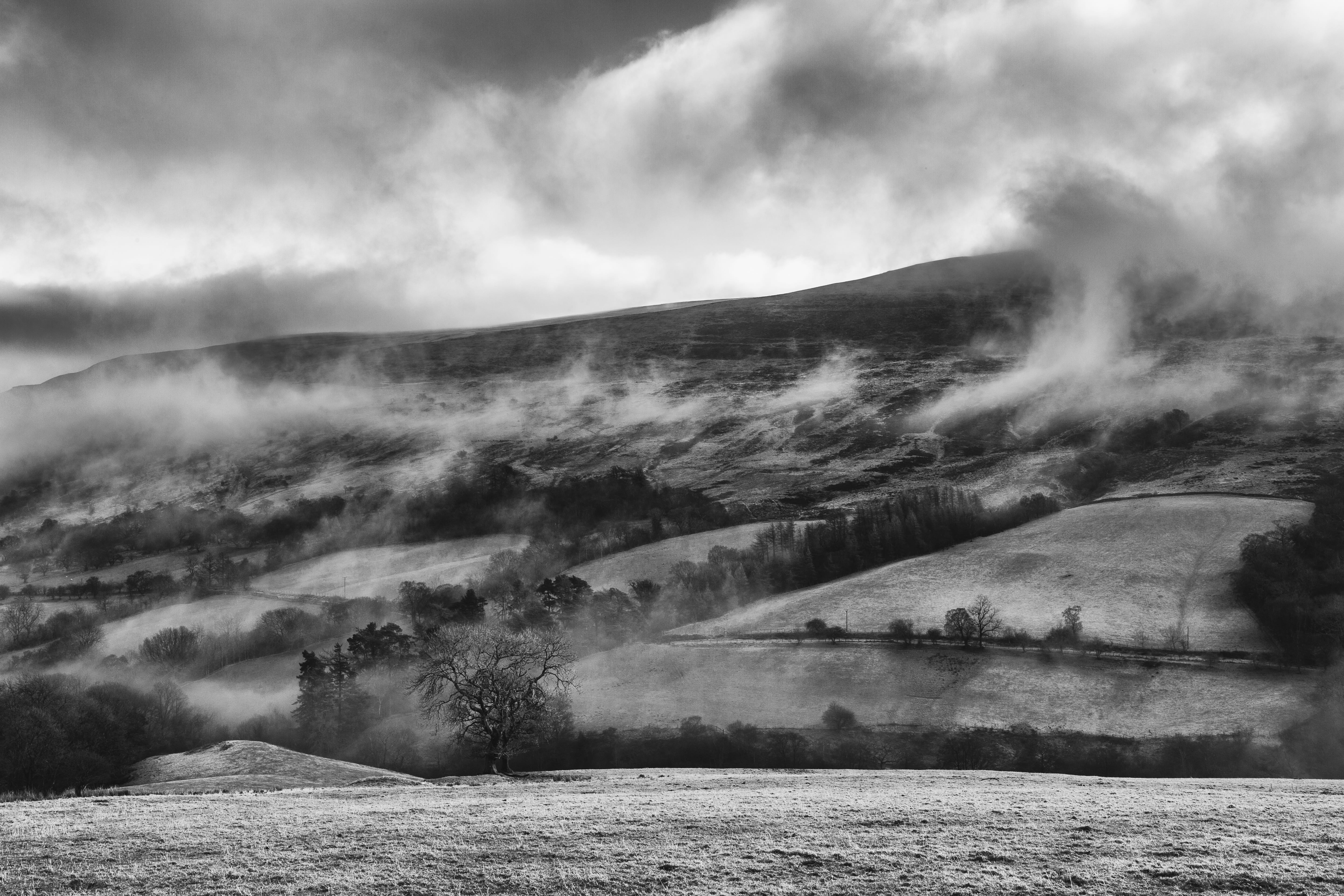 no people, photo, tree, outdoors, tranquil scene, clouds, winter, grayscale, field, scenery, 5K, mist, water, country, nature, day, cold temperature, sky, HD Wallpaper