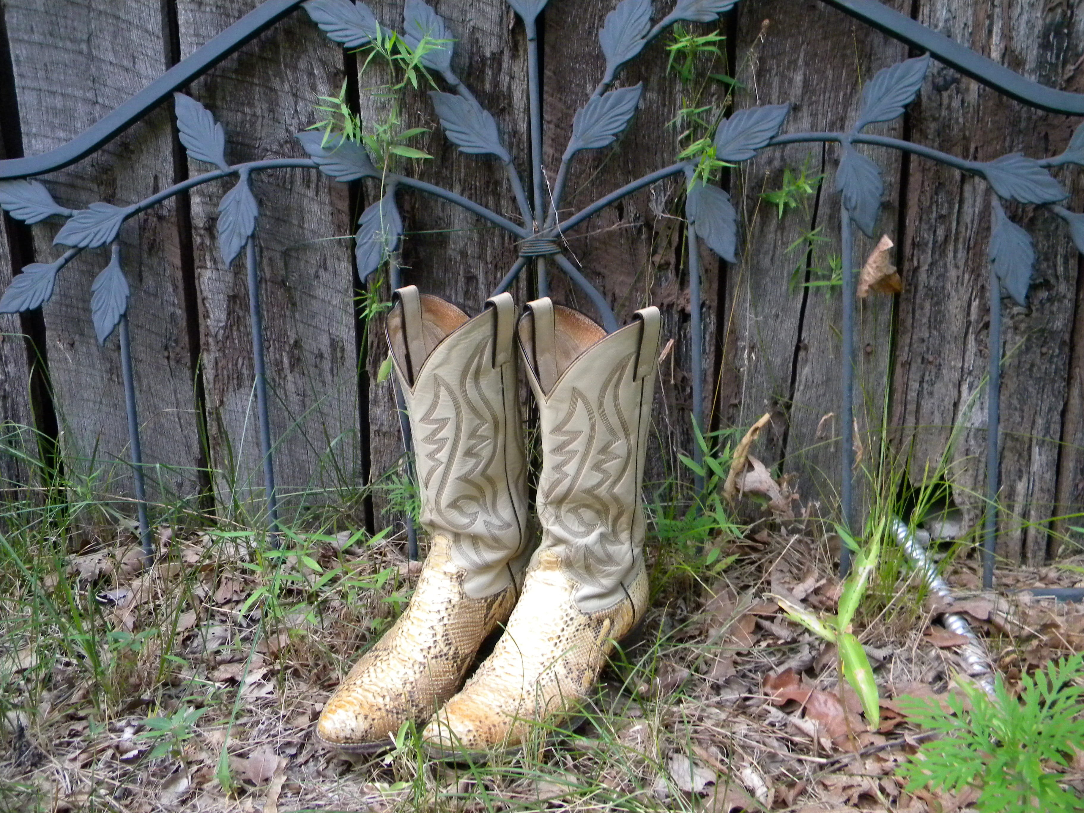 boot, white, boots, tree, leaf, 2K, hanging, footwear, Boots, nature, western, outdoors, plant, snake skin, grass, fashion, low section, people, Cowboy Boots, HD Wallpaper