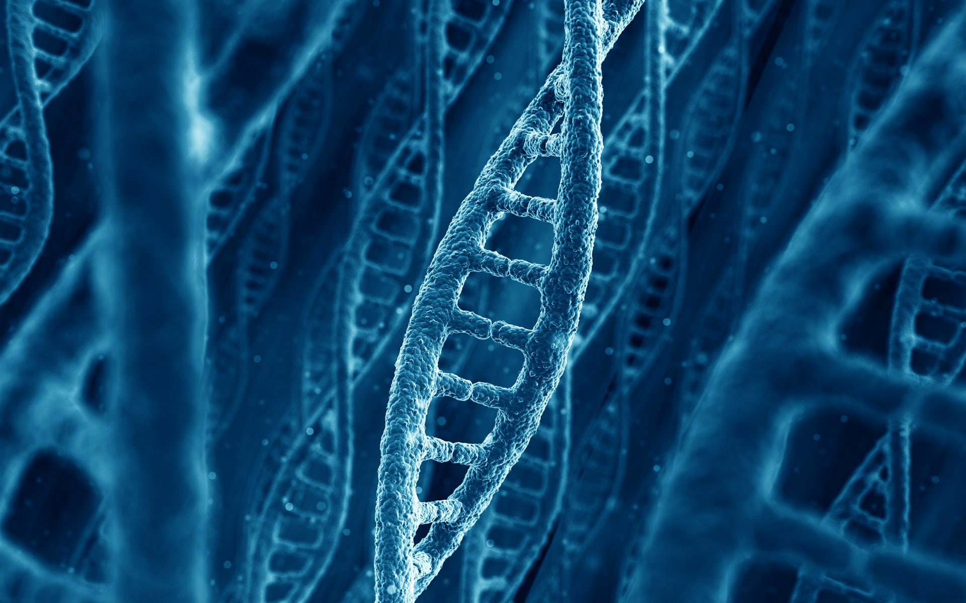 close-up, elegance, molecule, studio shot, no people, textured effect, rag, full frame, design, chain, nature, clothing, textile, industry, single object, HD Wallpaper