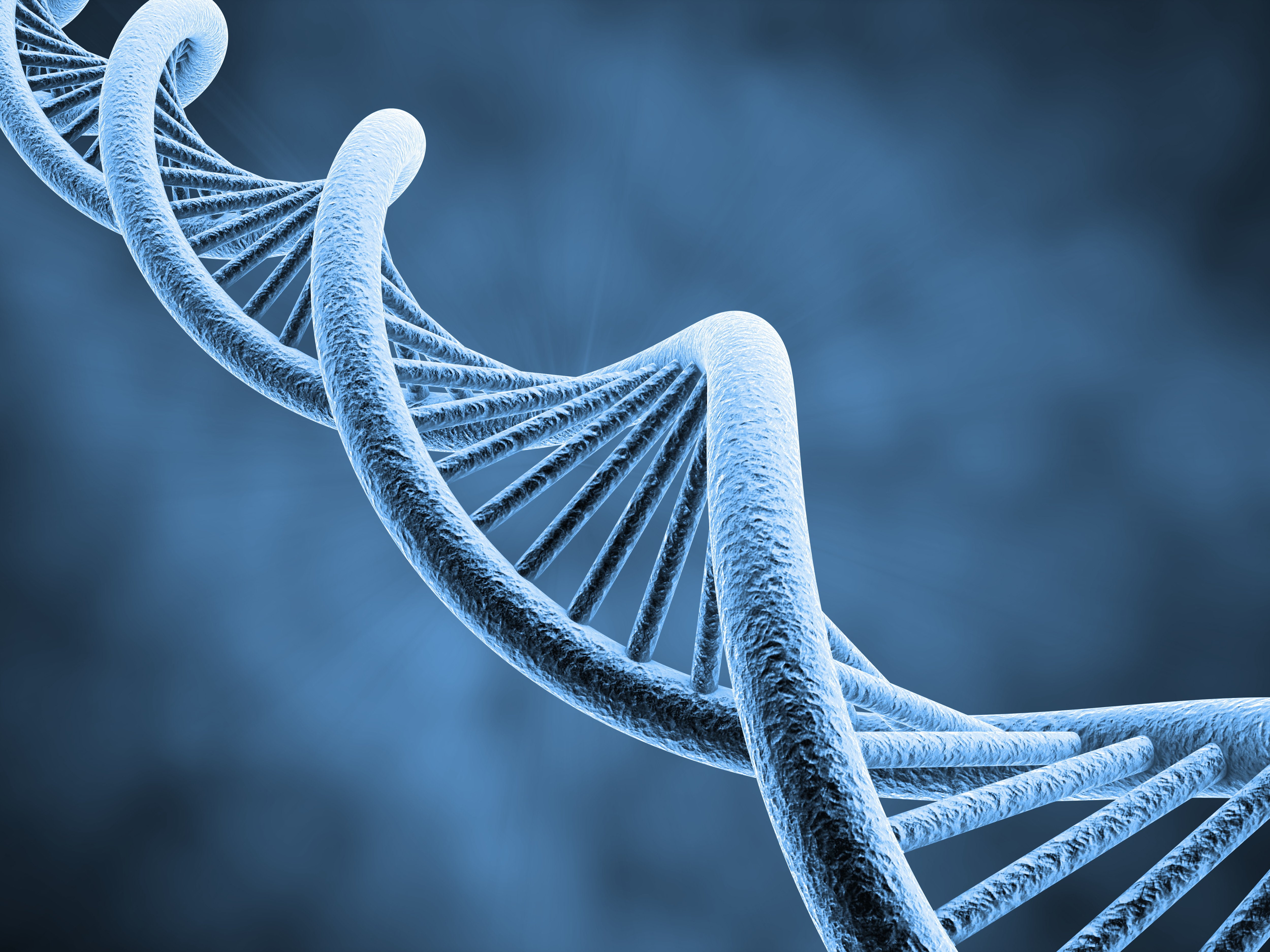 d, structure, psychedelic, pattern, DNA, 5000x3750 px, Genetic, molecule, abstraction, 4K, HD Wallpaper