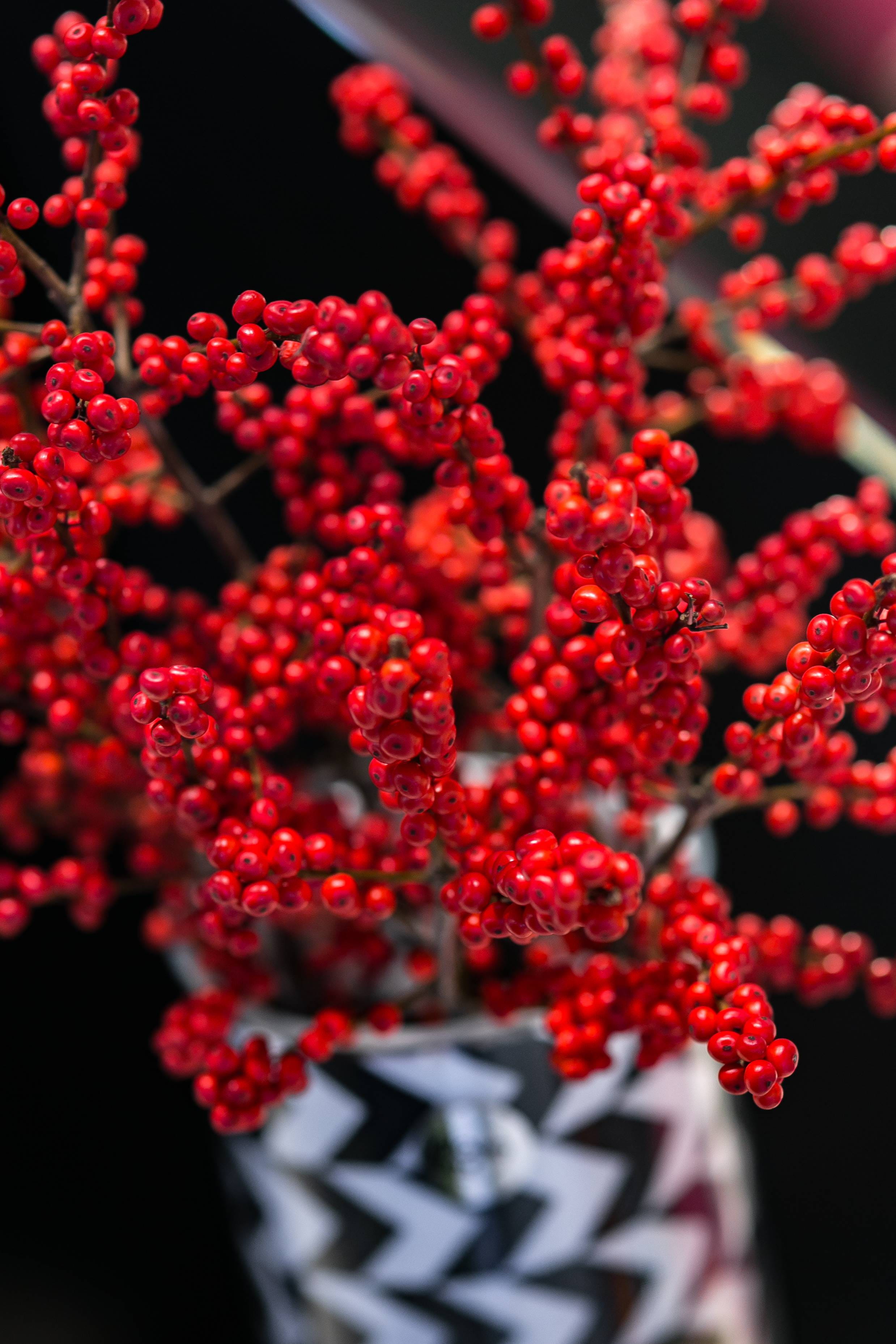 freshness, black-and-white, food, growth, no people, food and drink, berry fruit, abundance, red currant, 2K, pot, black, rowan, berries, outdoors, selective focus, Phone HD Wallpaper