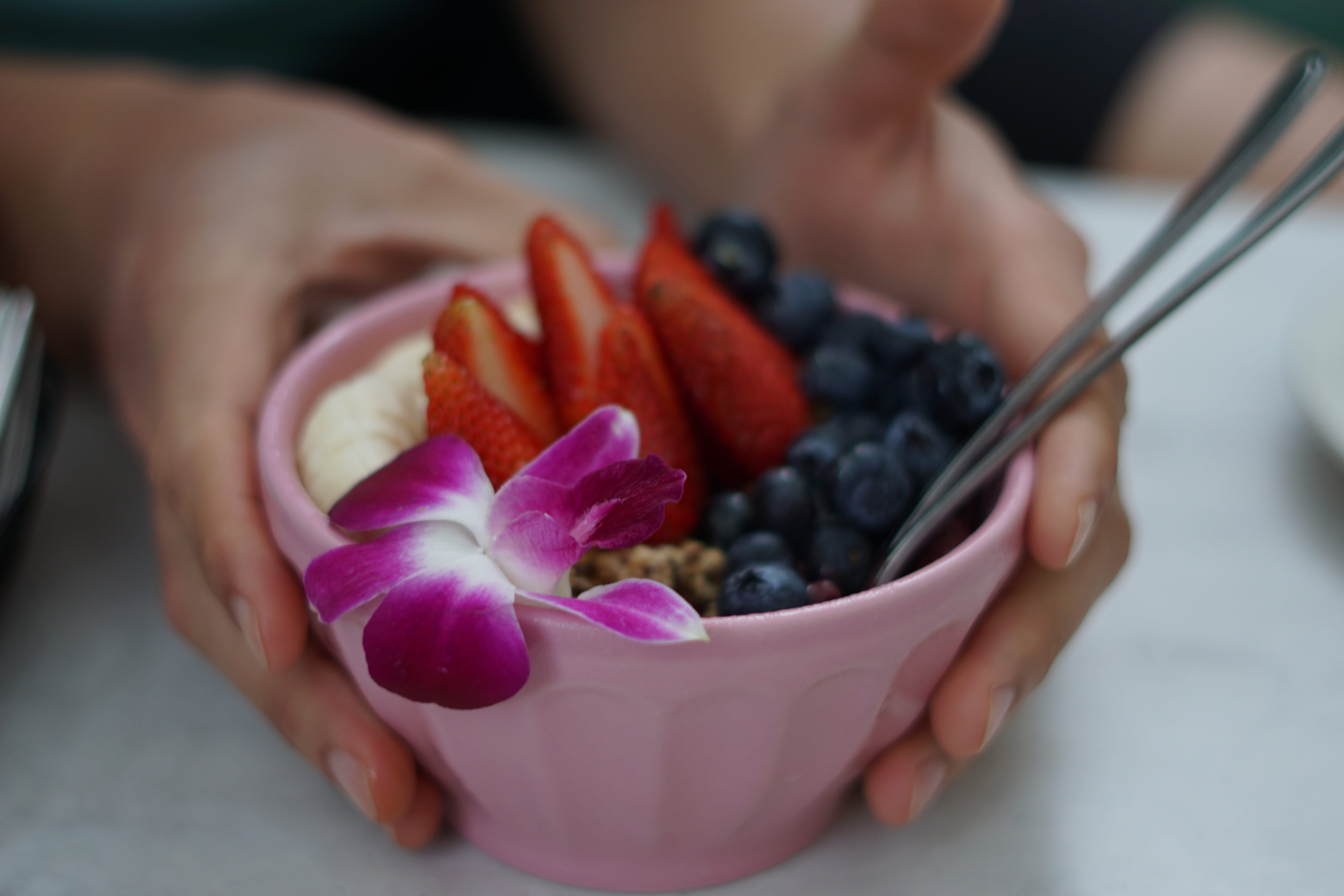 breakfast, pink color, flowering plant, holding, blueberry, human hand, wellbeing, one person, plant, freshness, flower, organic, food, close-up, o‘ahu, HD Wallpaper