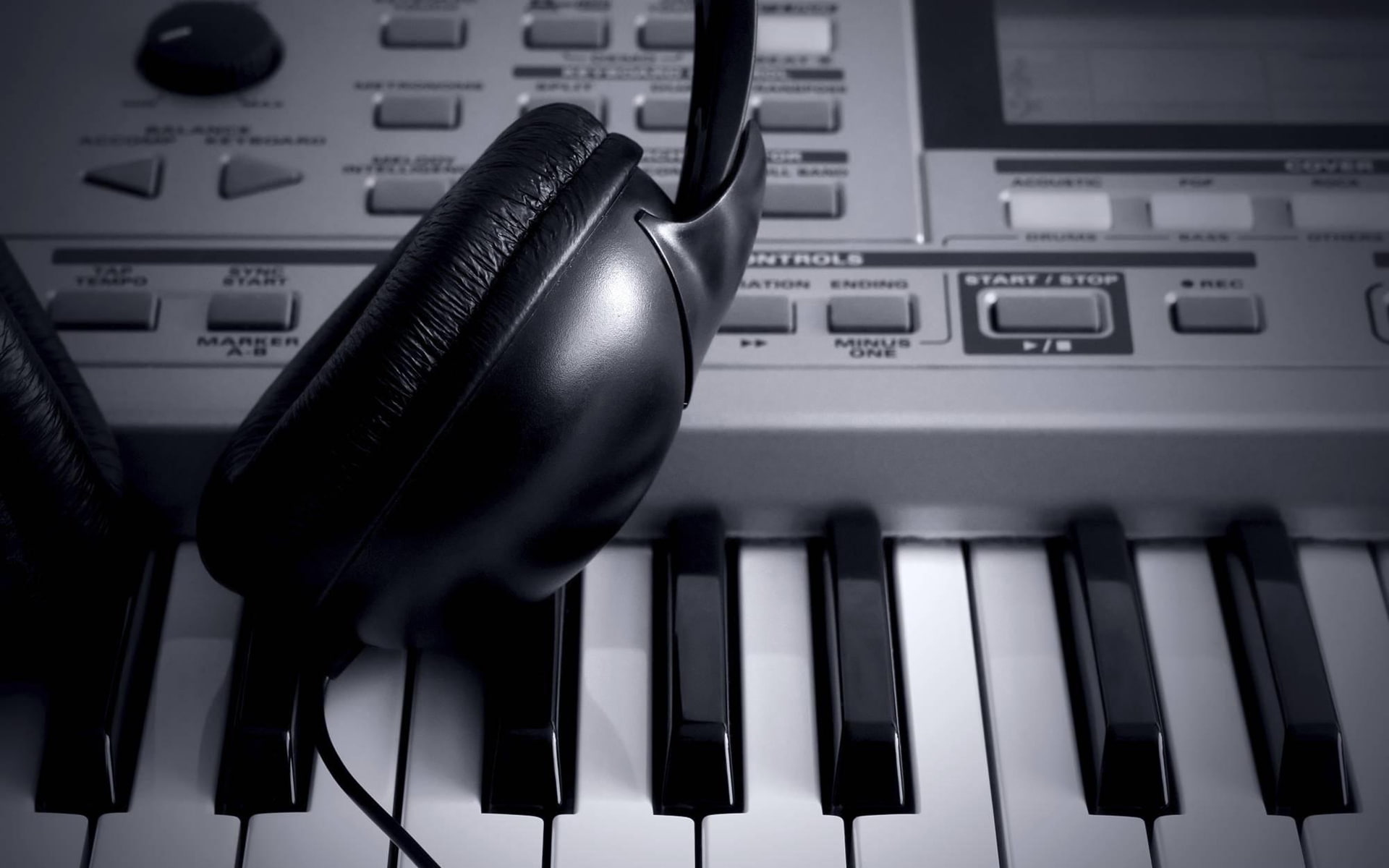 playing, listening, music, keyboard instrument, musical Instrument, white color, sound, entertainment, black And White, black Color, piano, keyboard, piano Key, HD Wallpaper