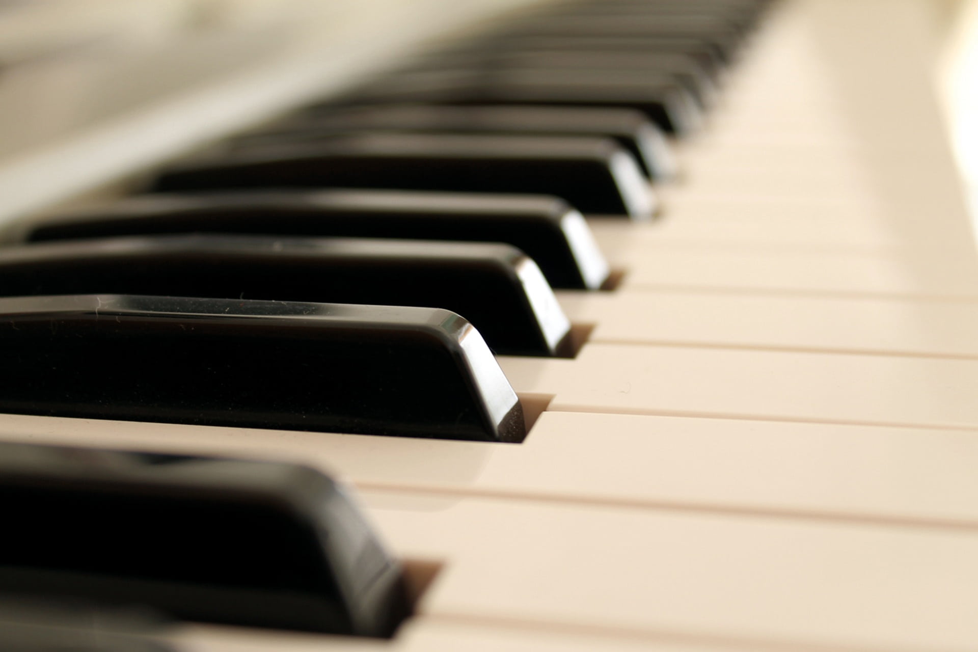 photography, music, close-up, selective focus, musical instrument, auditorium, wood - material, black color, white color, field, absence, musician, no people, HD Wallpaper