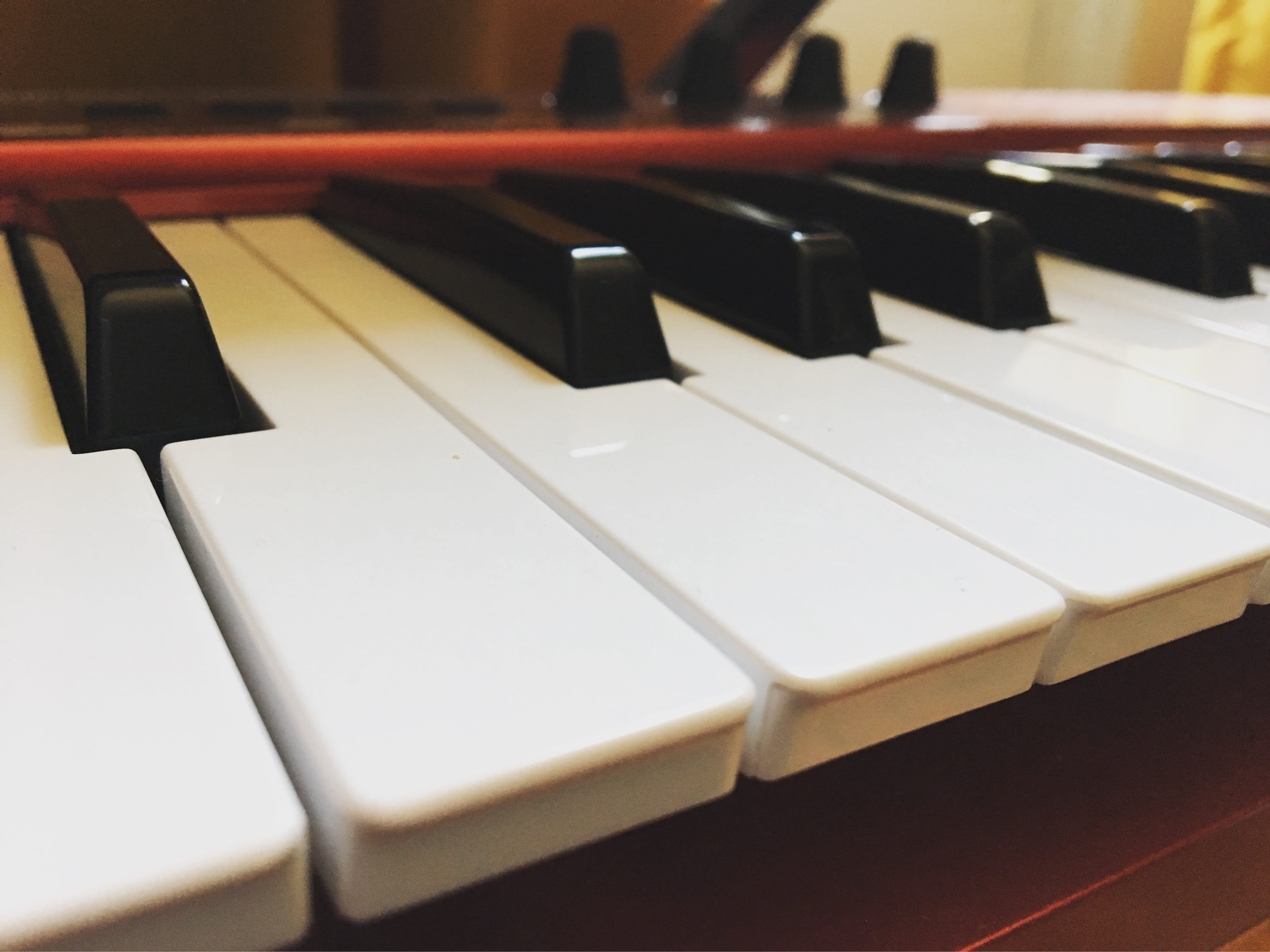 selective focus, ivory, piano Key, black color, musical, full frame, focus on foreground, classical Music, close-up, indoors, instrument, performance, musician, HD Wallpaper
