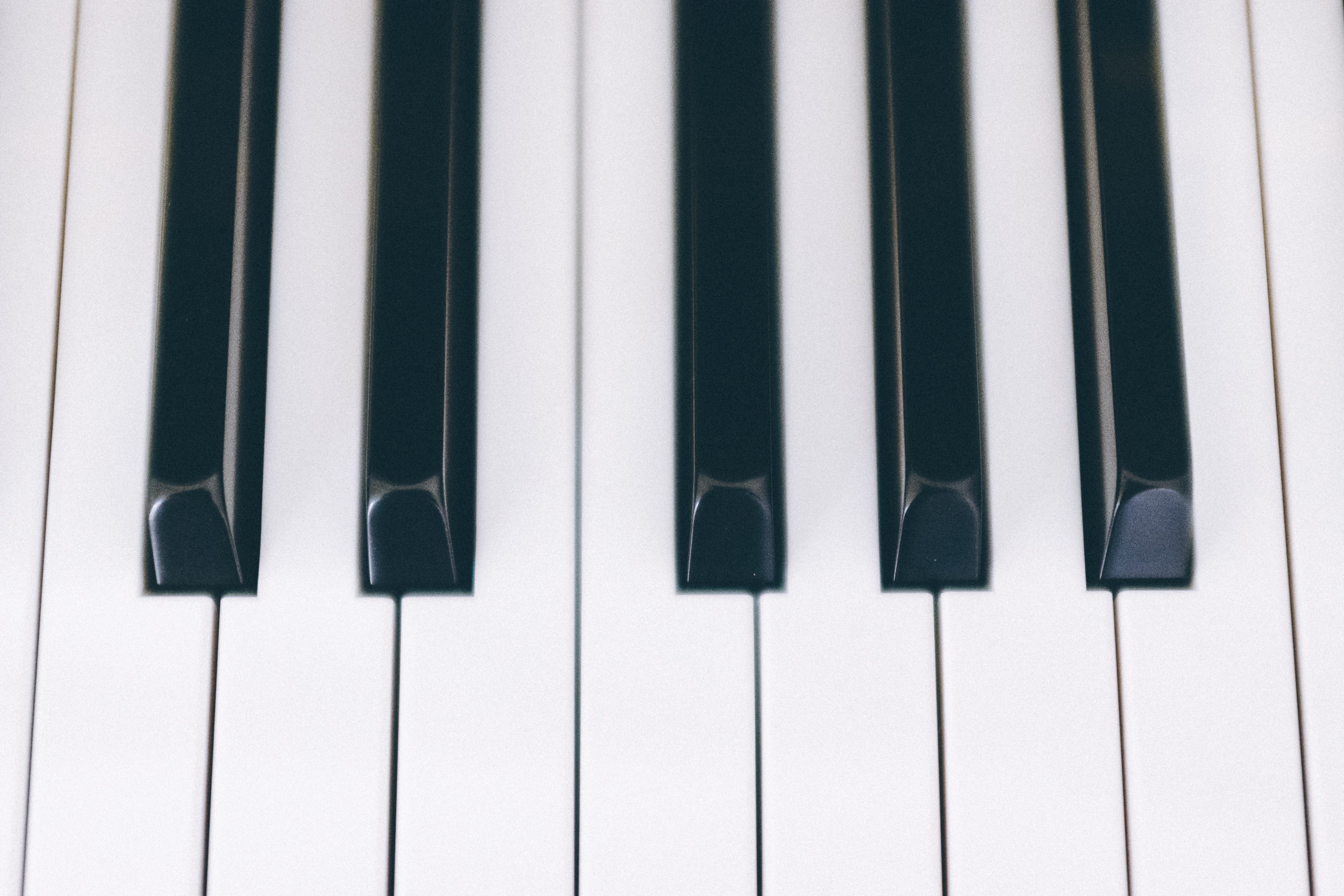 white color, entertainment, sound, arts And Entertainment, indoors, musical Instrument, music, abstract, side by side, keyboard instrument, in a row, close-up, HD Wallpaper