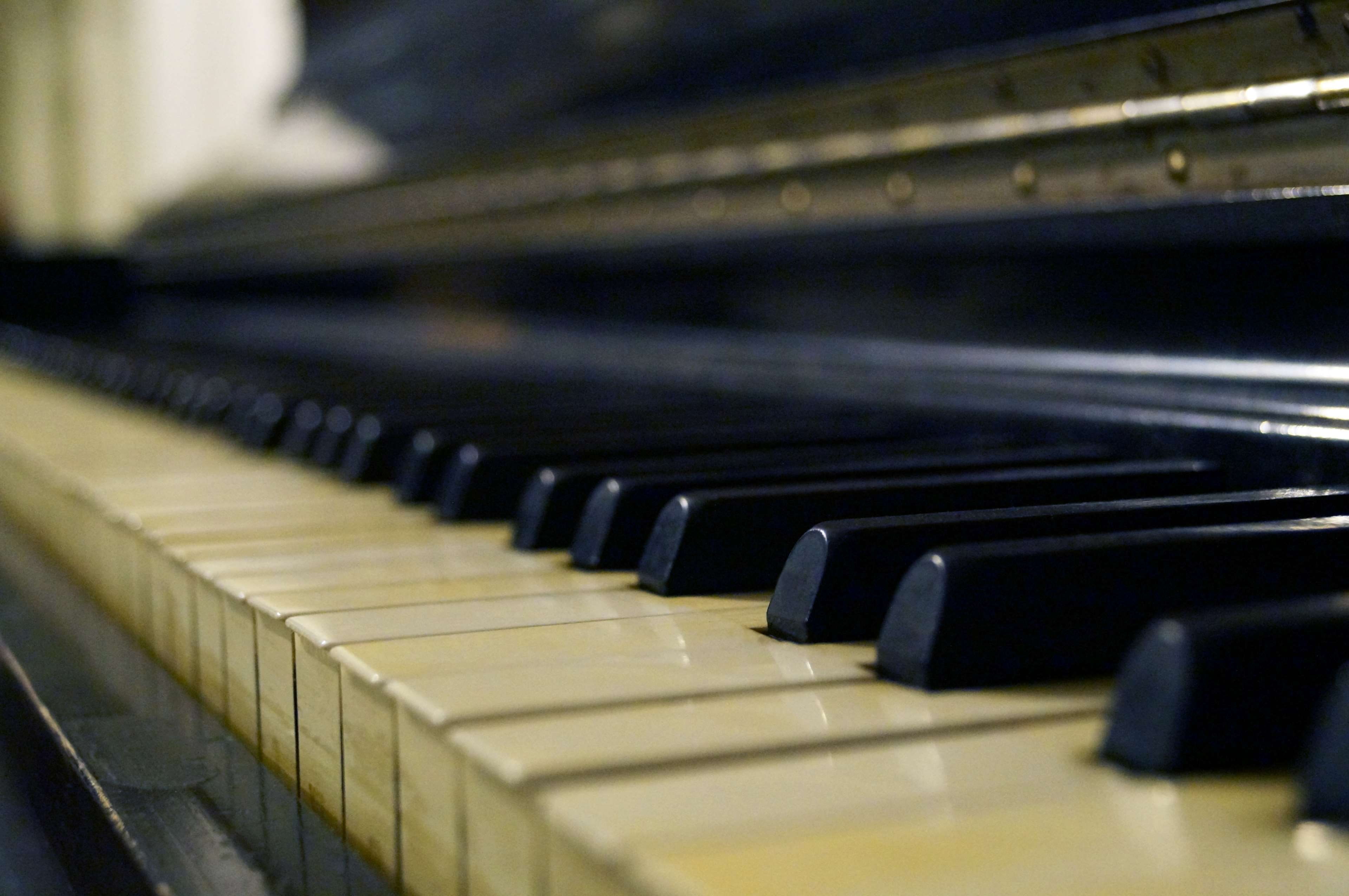 arts culture and entertainment, white color, jazz, repetition, keyboard instrument, musical, piano key, indoors, white, musician, piano, 4K, musical equipment, HD Wallpaper