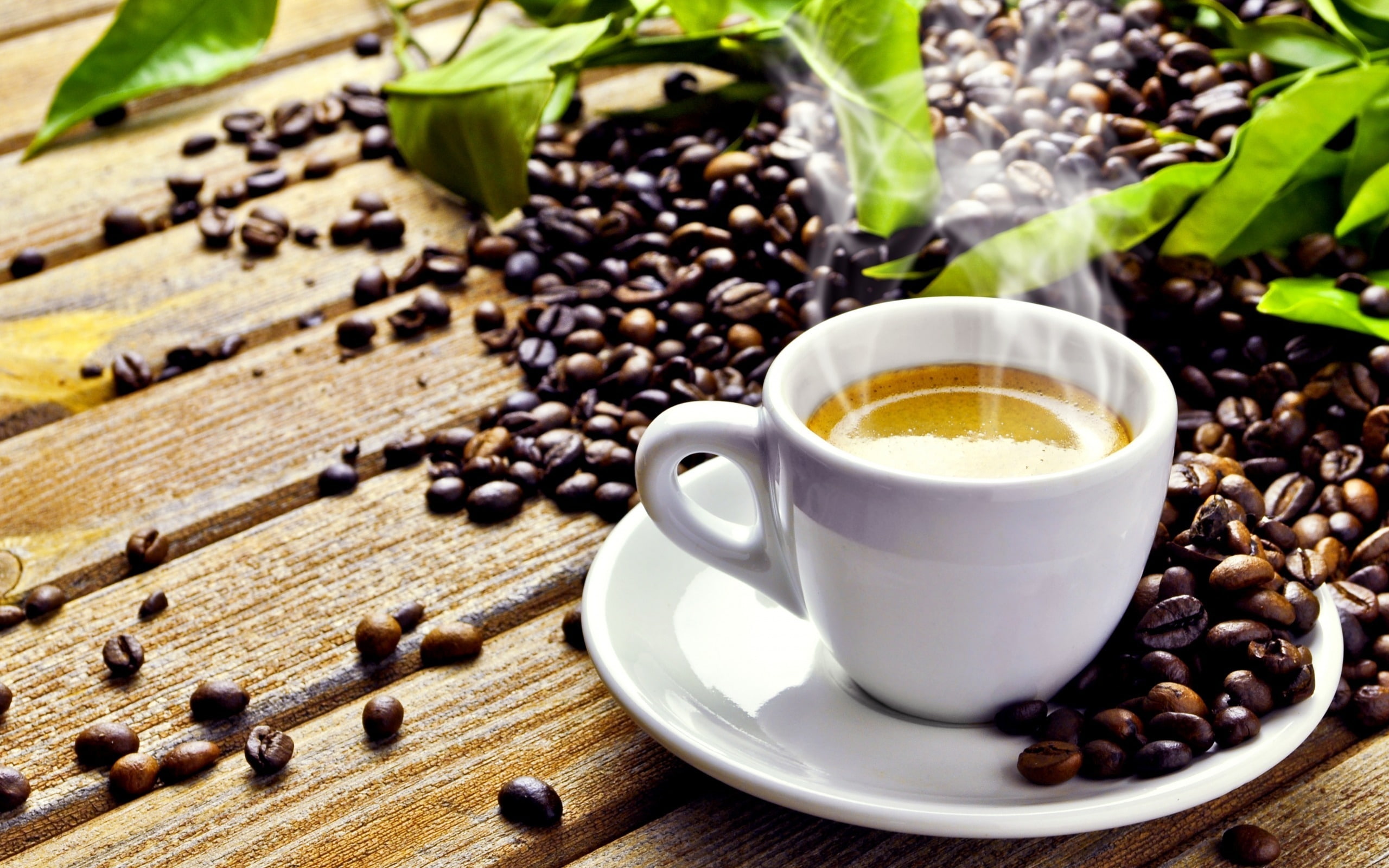 brewed, beans, start, freshly, morning, coffee, energy, 2K, HD Wallpaper