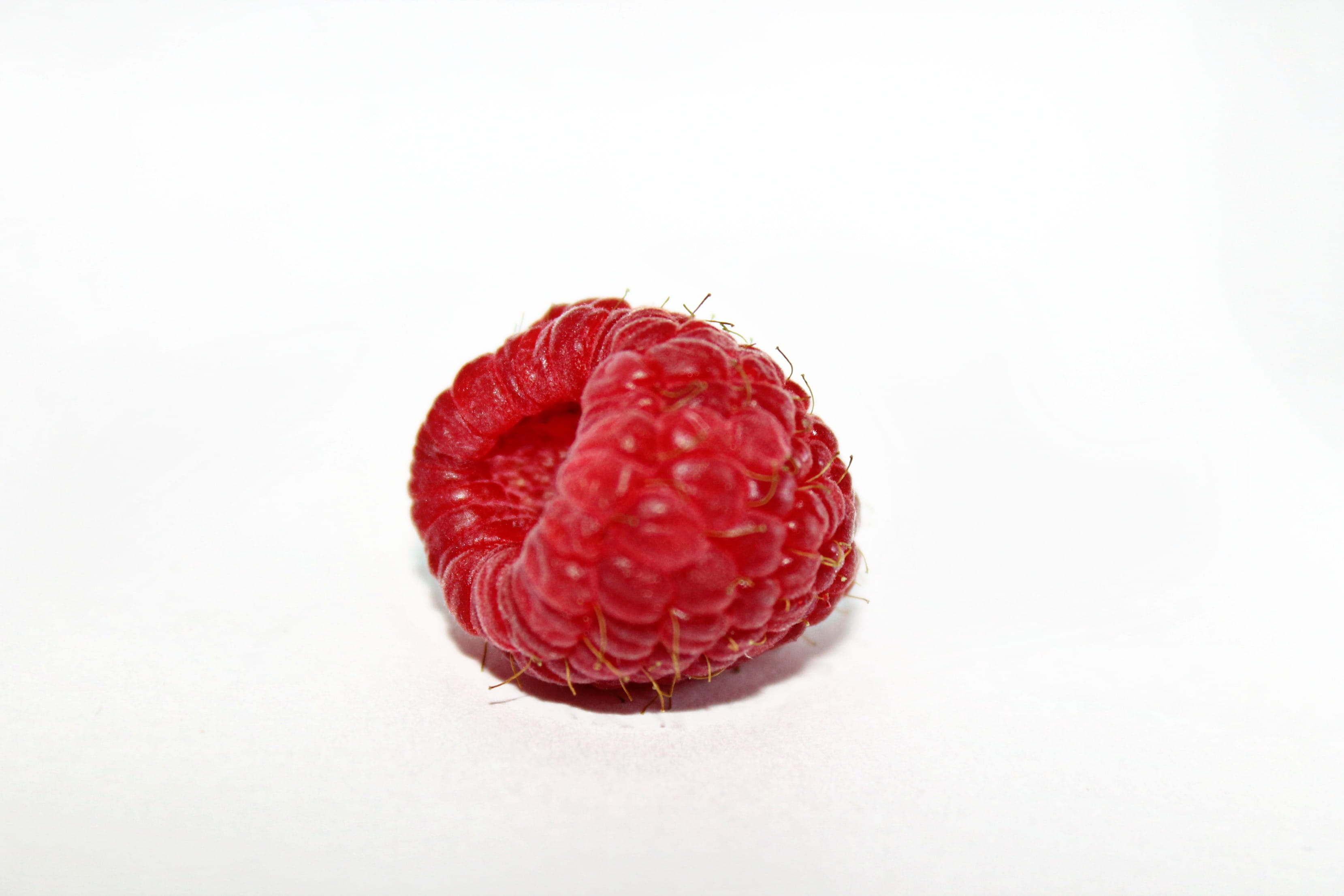 food and drink, indoors, raspberry, snack, white background, 2K, flora, rasp, wellbeing, carnation, flower, berry fruit, produce, healthy eating, sweet food, HD Wallpaper