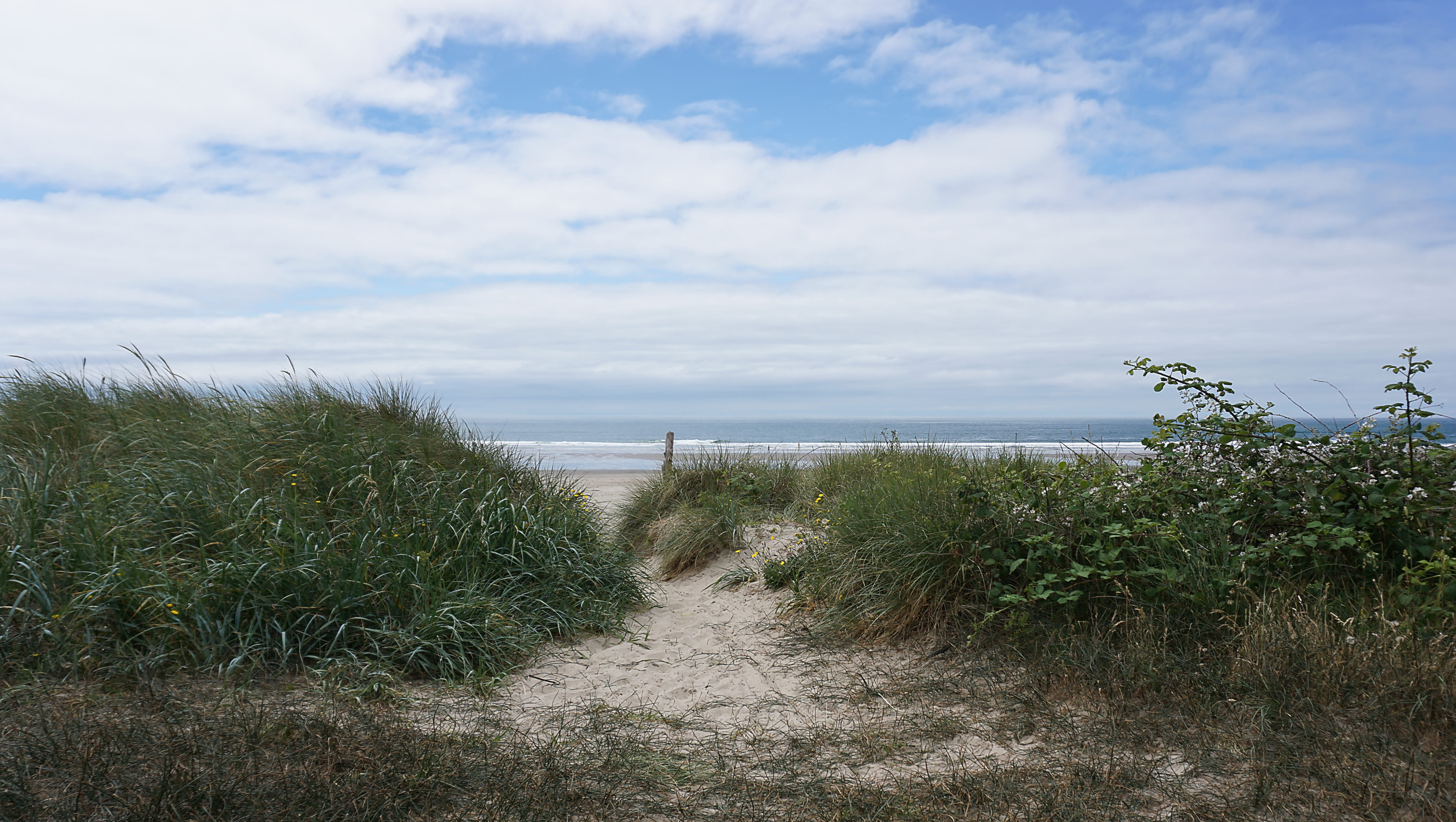 oregon, direction, beach, ocean, land, horizon over water, cloud - sky, beauty in nature, outdoors, 5K, growth, sea, water, horizon, sky, scenics - nature, HD Wallpaper