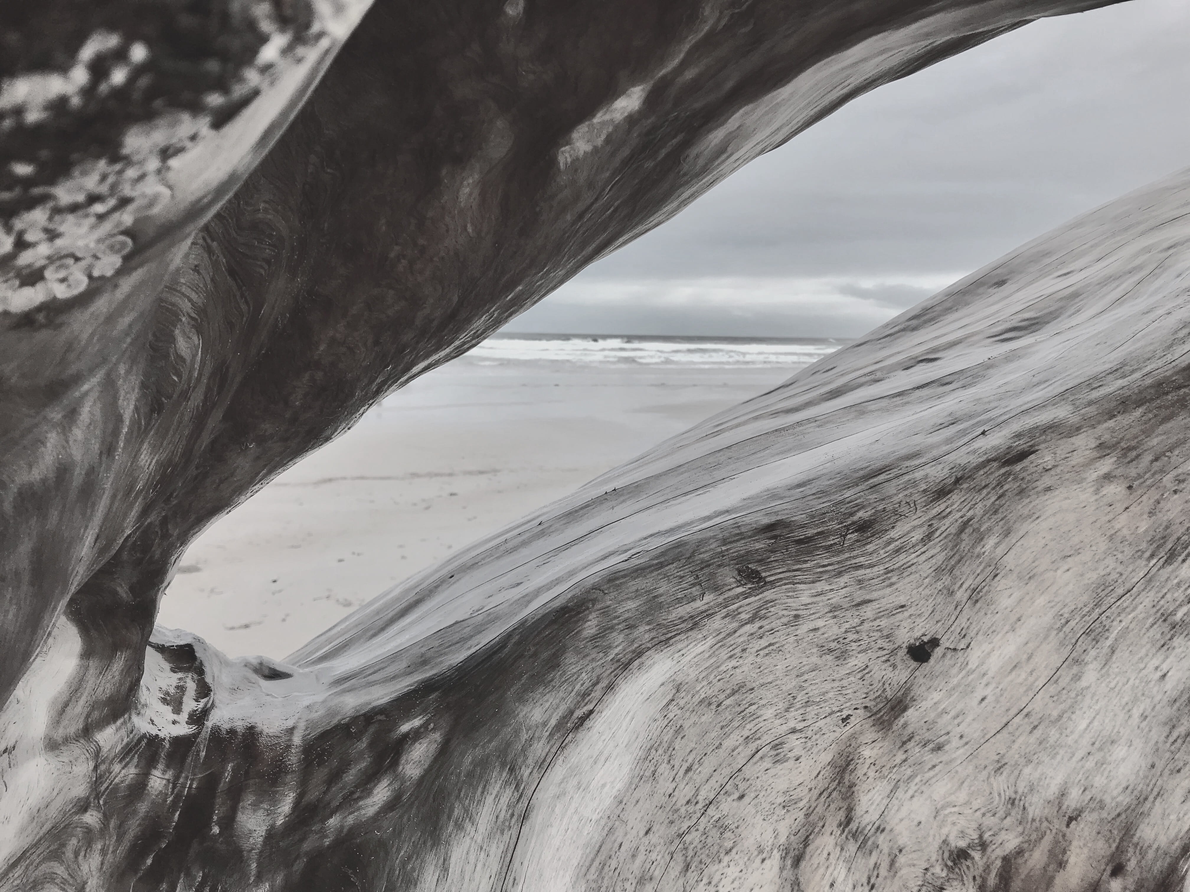 4K, idyllic, driftwood, outdoors, day, beauty in nature, no people, horizon, sea, scenics - nature, sand, beach, tranquility, non-urban scene, motion, HD Wallpaper