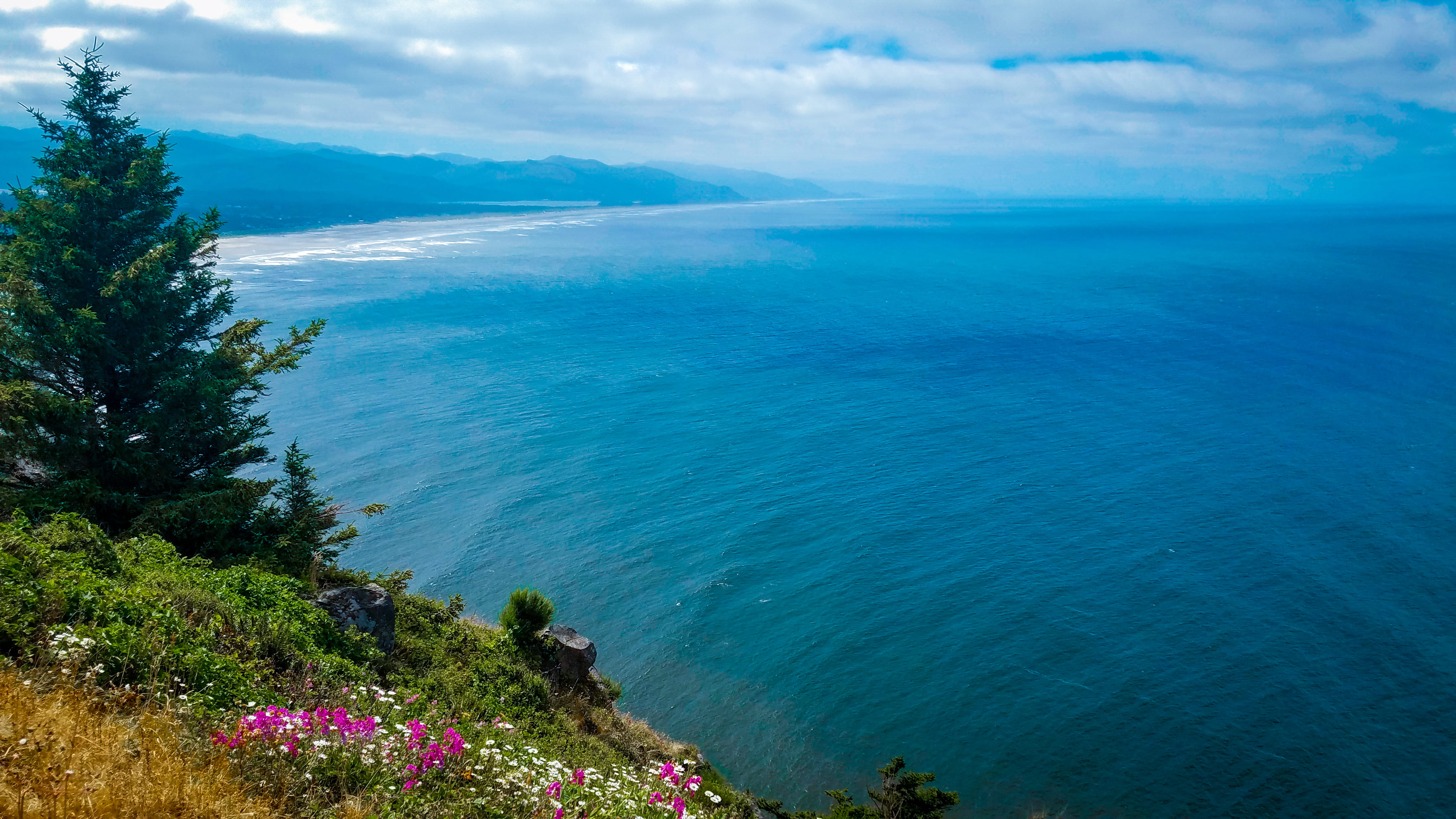 flowers, oregon, plant, manzanita, clouds, non-urban scene, high angle view, sea, adobespark, mountains, sky, land, united states, day, beauty in nature, HD Wallpaper