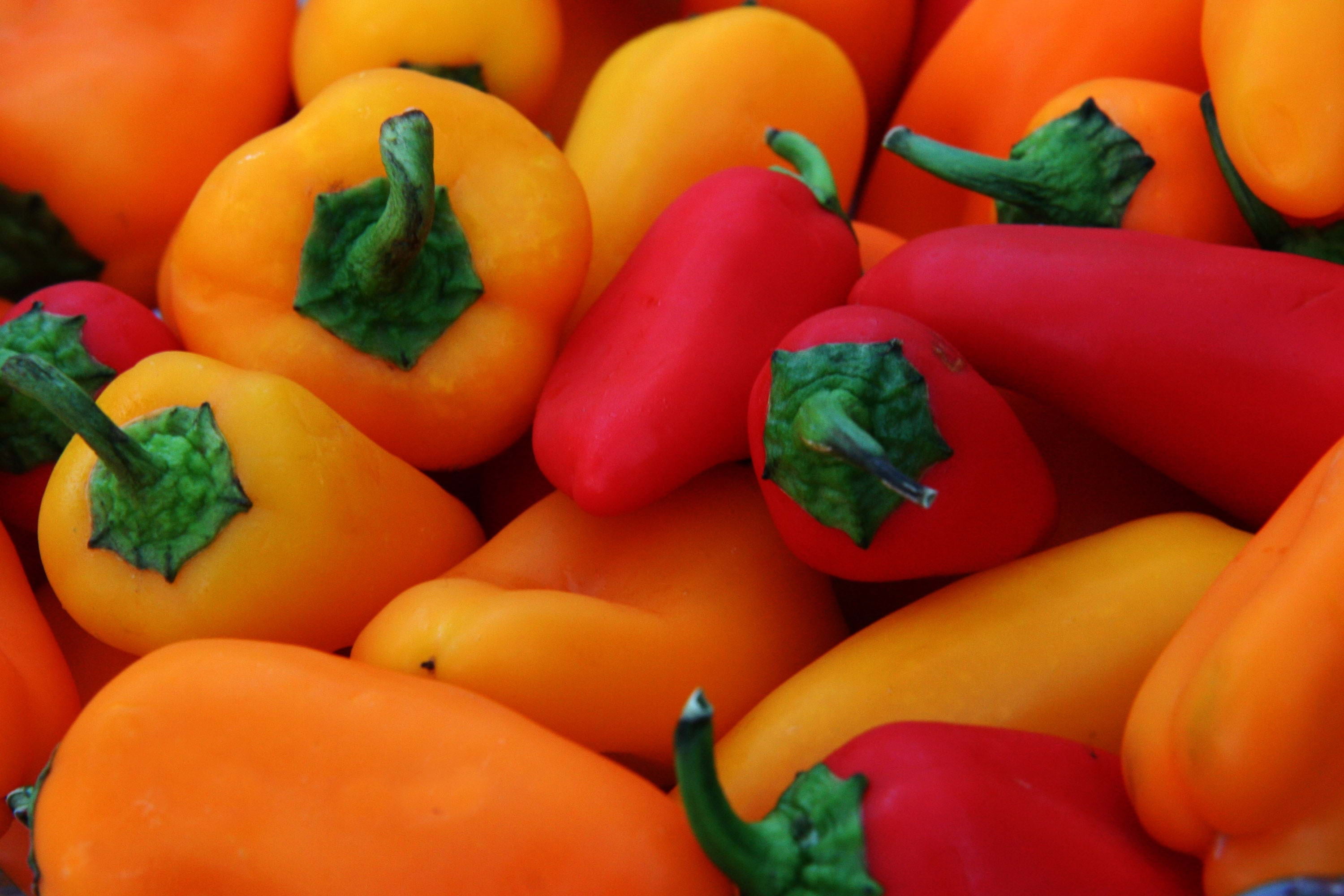 organic, colors, bell Pepper, orange Color, wellbeing, 2K, choice, peppers, pepper - Vegetable, variation, backgrounds, market, groceries, full frame, HD Wallpaper