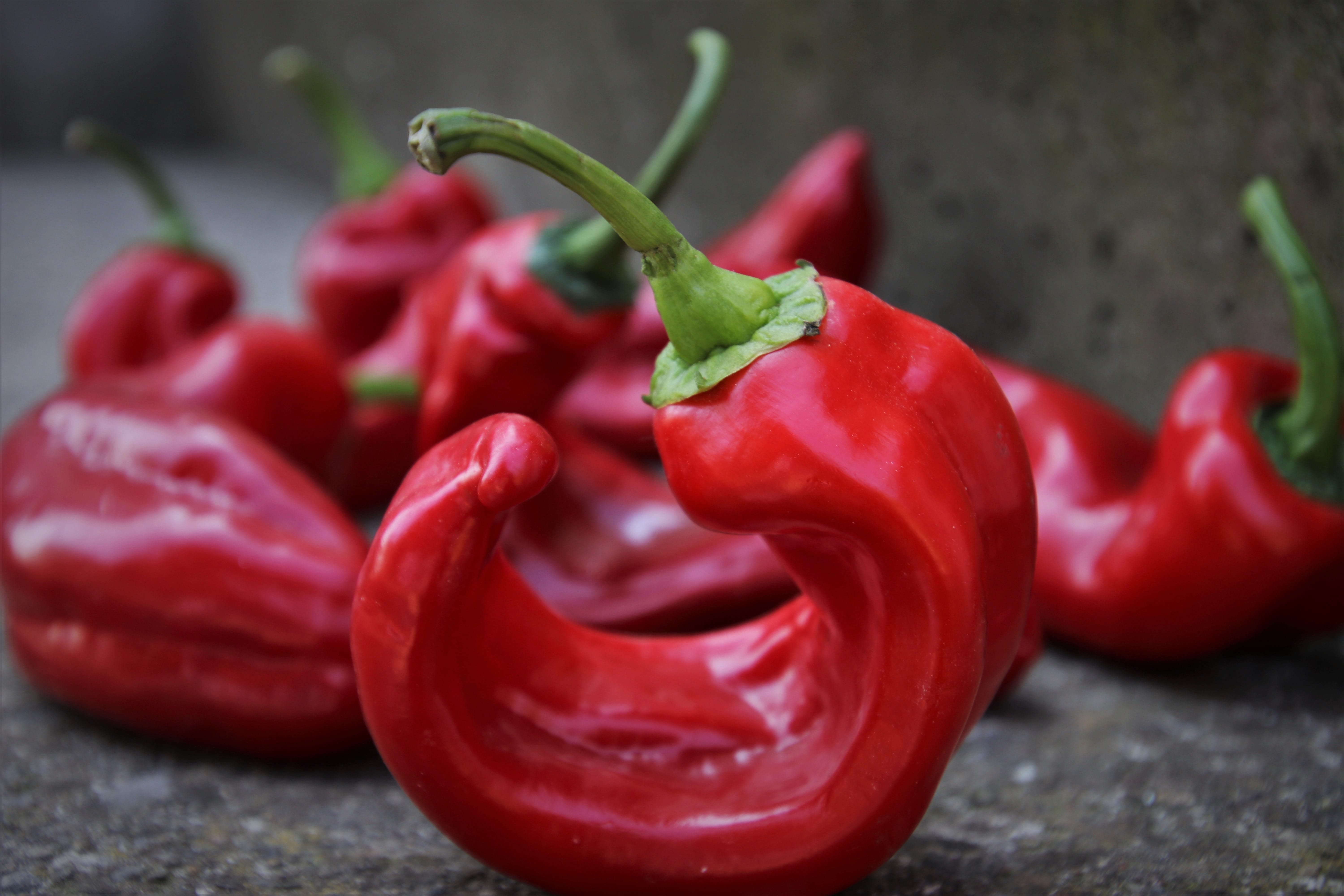 red, the freshness, raw, eat, natural, snacks, still life, diet, vegetarian food, bio, tasty, pepper, vegetables, sweet pepper, close-up, spice, outdoors, HD Wallpaper