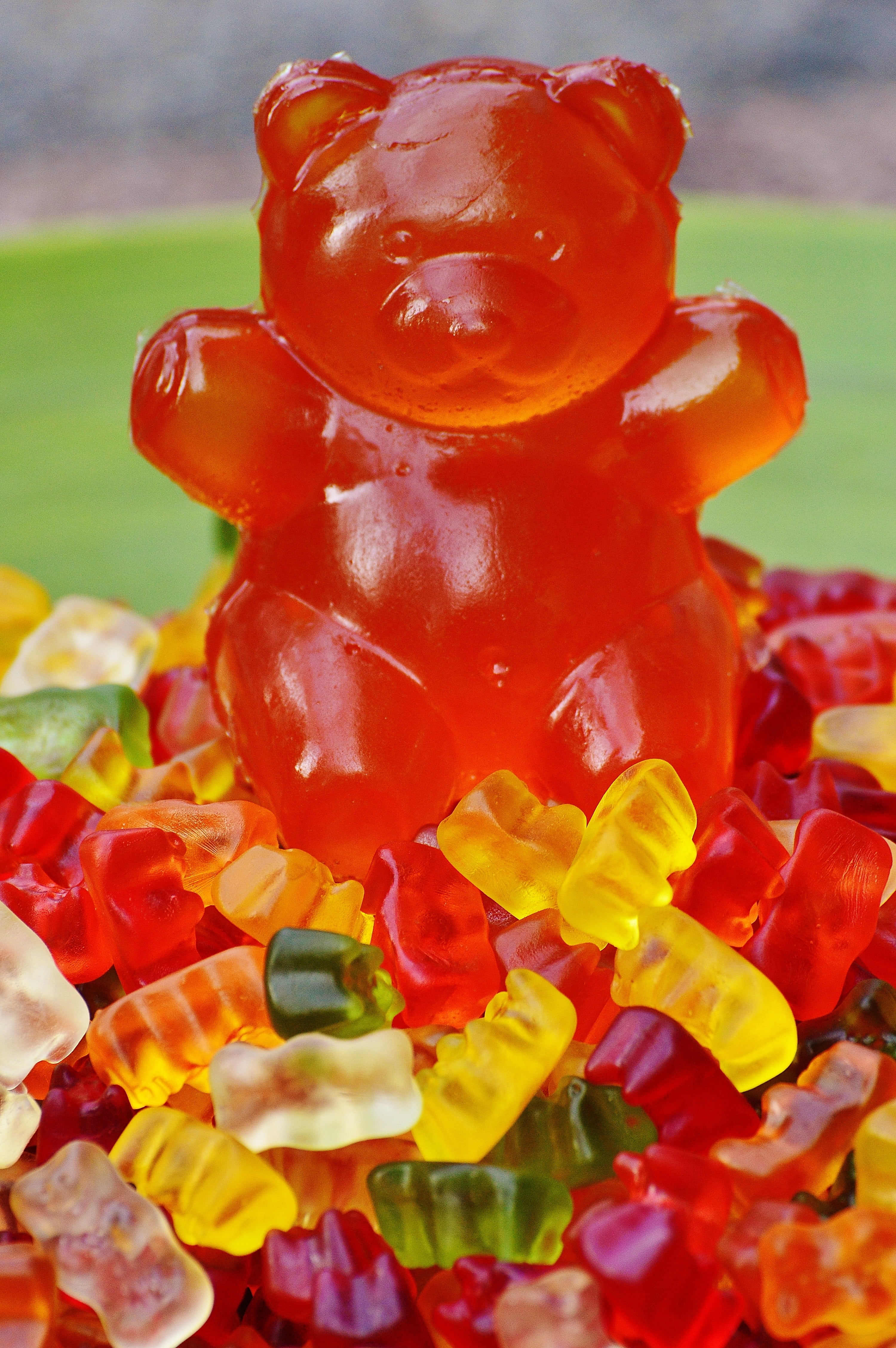 sweet, gummibärchen, haribo, pepper, gummibär, no people, red, focus on foreground, wellbeing, giant rubber bear, still life, children, sugar, nibble, freshness, Phone HD Wallpaper