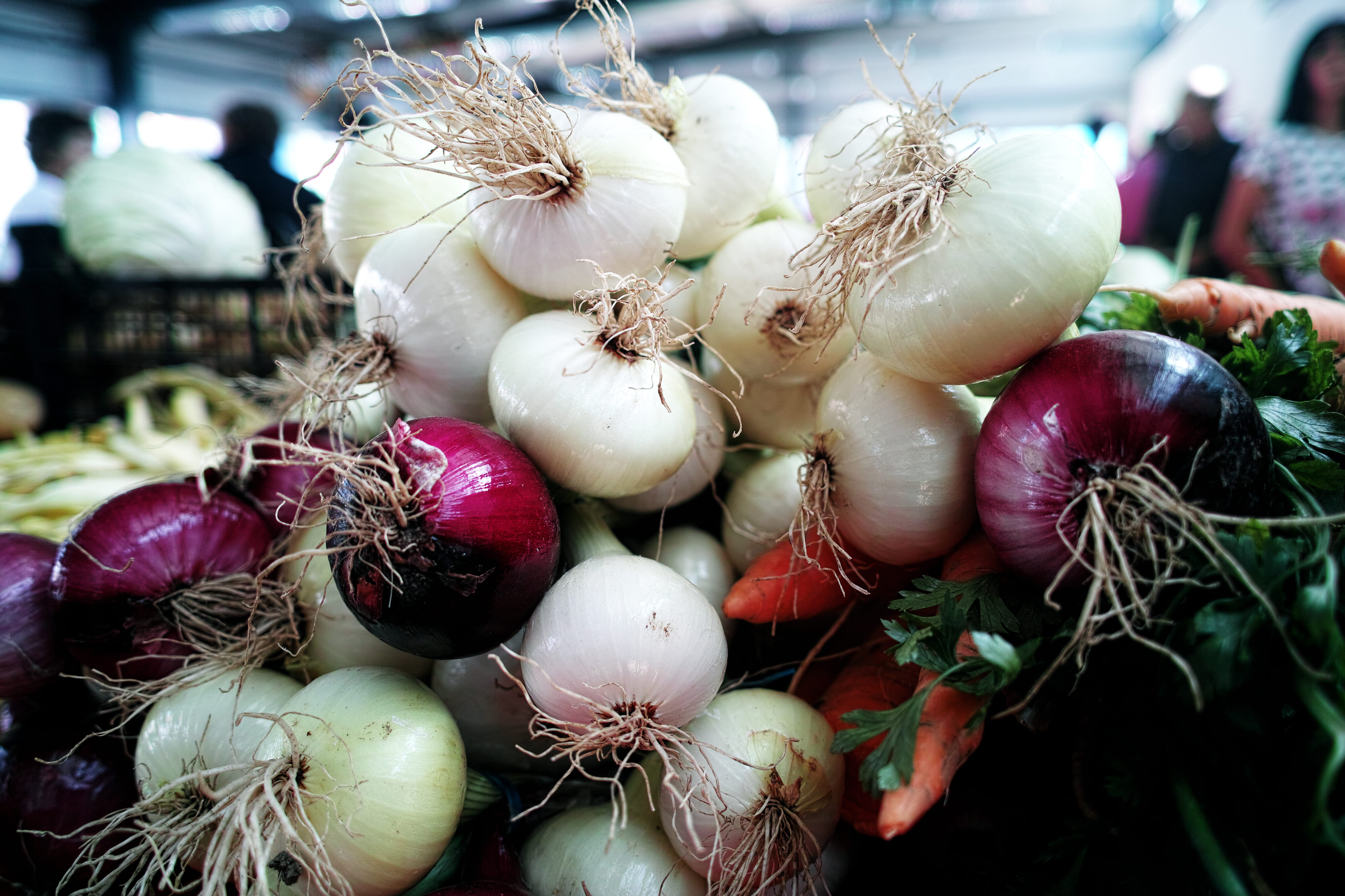 close-up, onions, day, raw food, carrots, choice, wellbeing, vanitas, 4K, no people, growing, outdoors, organic, vegetables, romania, onion, shopping, HD Wallpaper