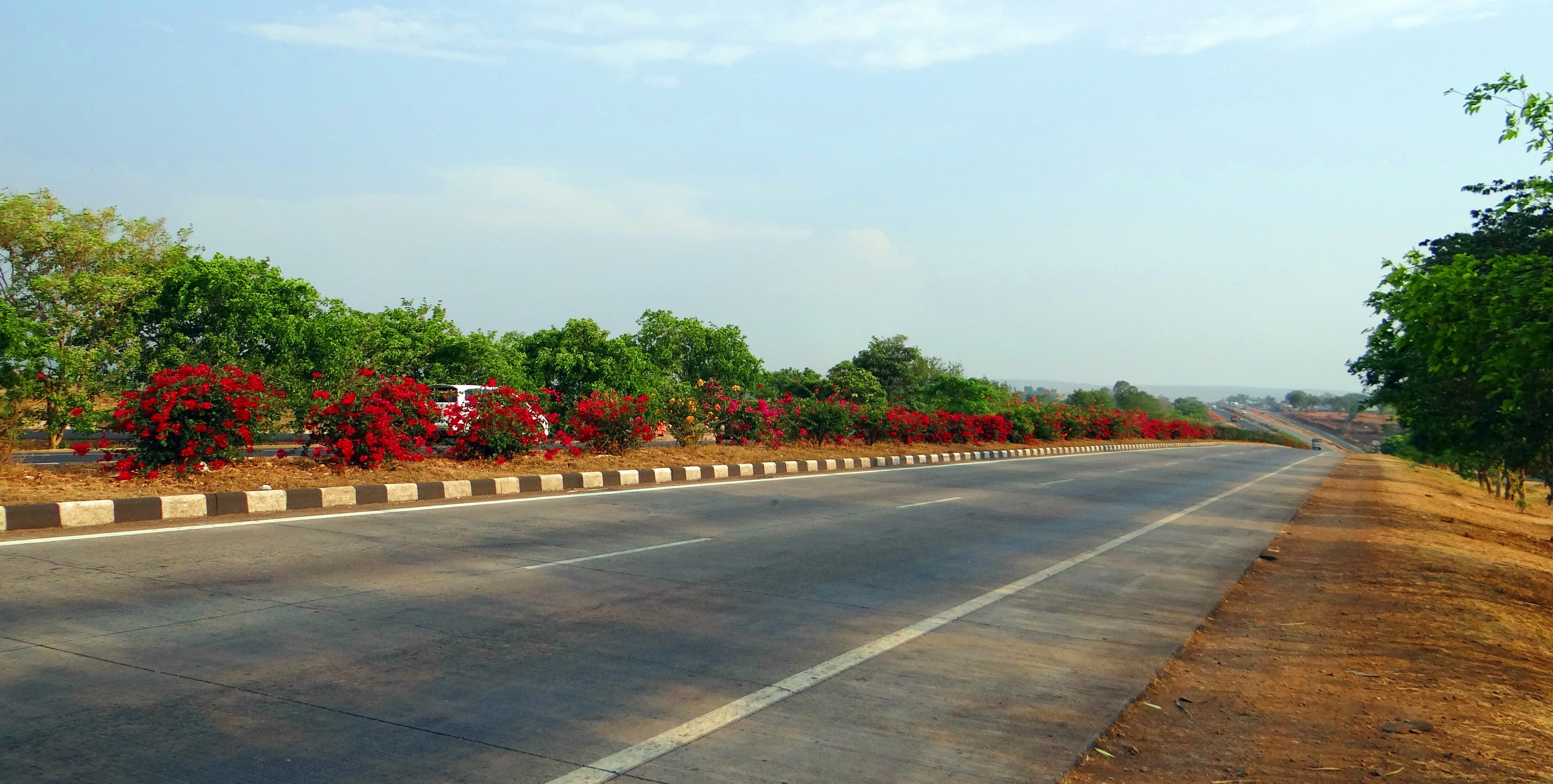 transportation, blue, outdoors, india, sky, arterial, marking, 4K, tree, nature, road, direction, day, the way forward, sign, karnataka, beauty in nature, HD Wallpaper