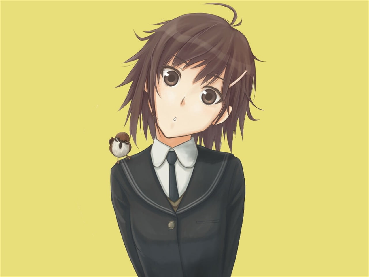 looking at camera, human face, studio shot, casual clothing, hairstyle, young adult, front view, standing, yellow background, one person, Amagami SS, headshot, HD Wallpaper