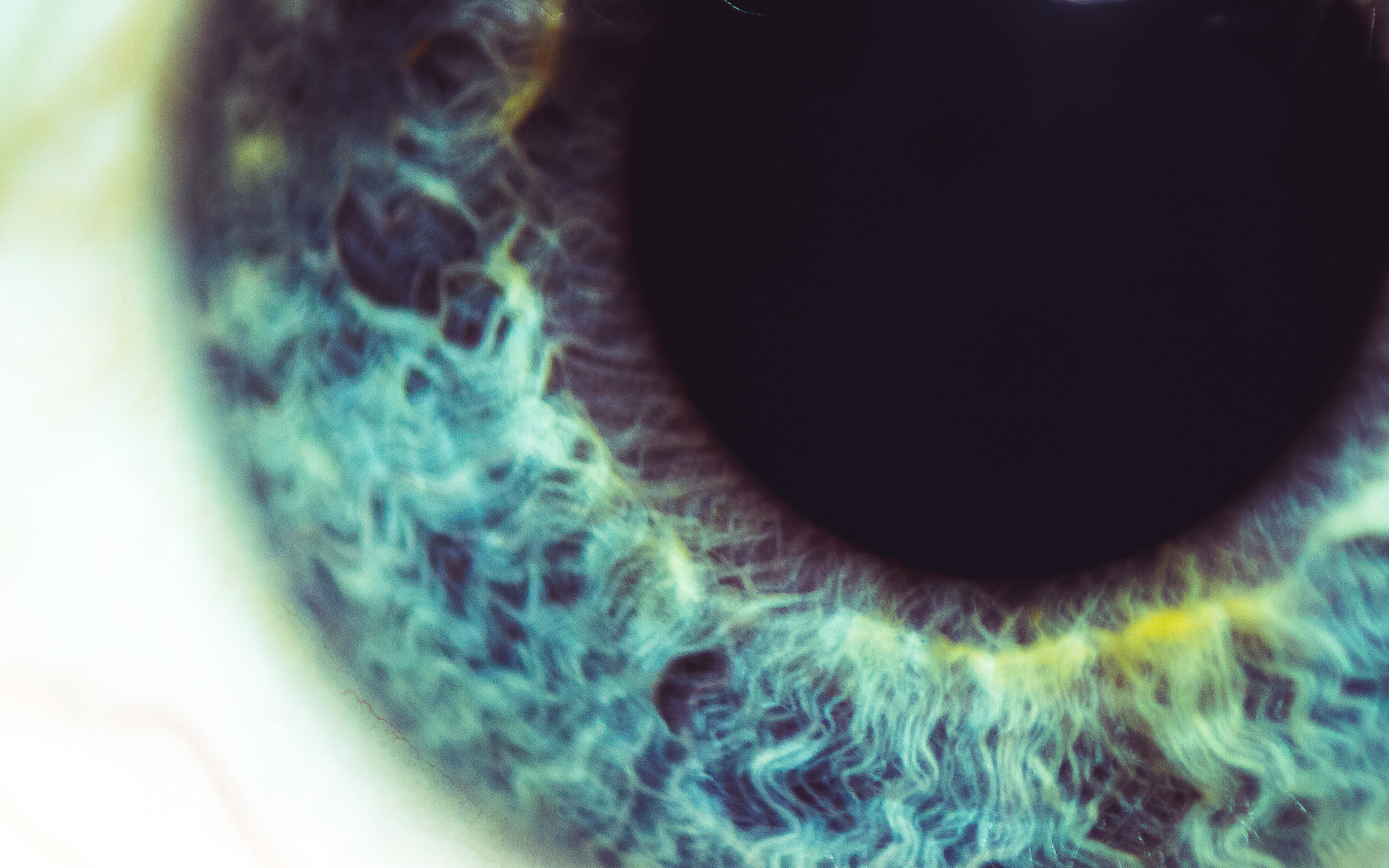 ocean, human eye, healthcare and medicine, human body part, eye, eyeball, medical exam, eyesight, hospital, medical condition, science, abstract, technology, HD Wallpaper