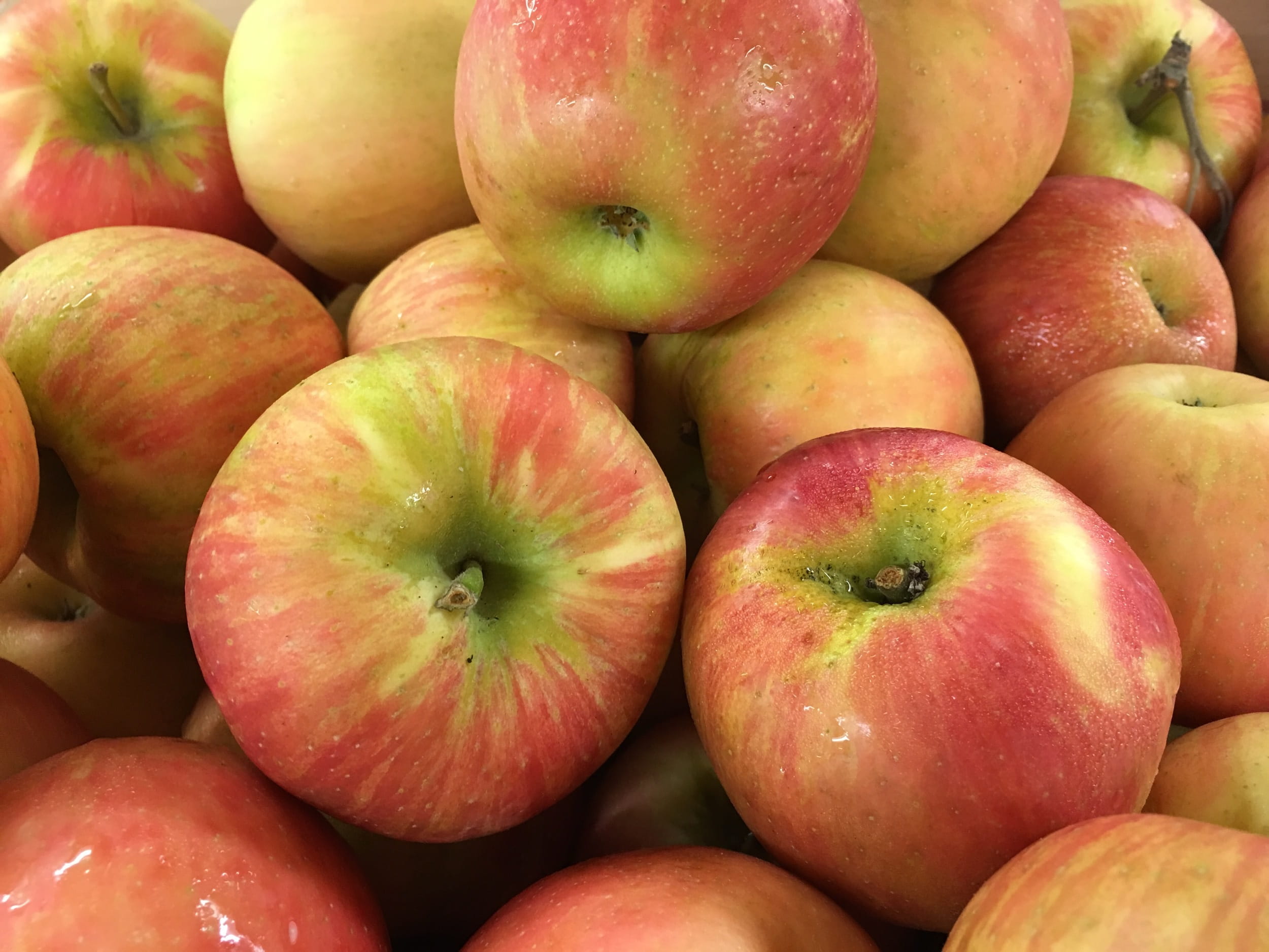 harvest, retail, market, Honey Crisp, sale, healthy eating, full frame, retail display, agriclture, food, delicious, wellbeing, produce, ripe, apple - fruit, HD Wallpaper