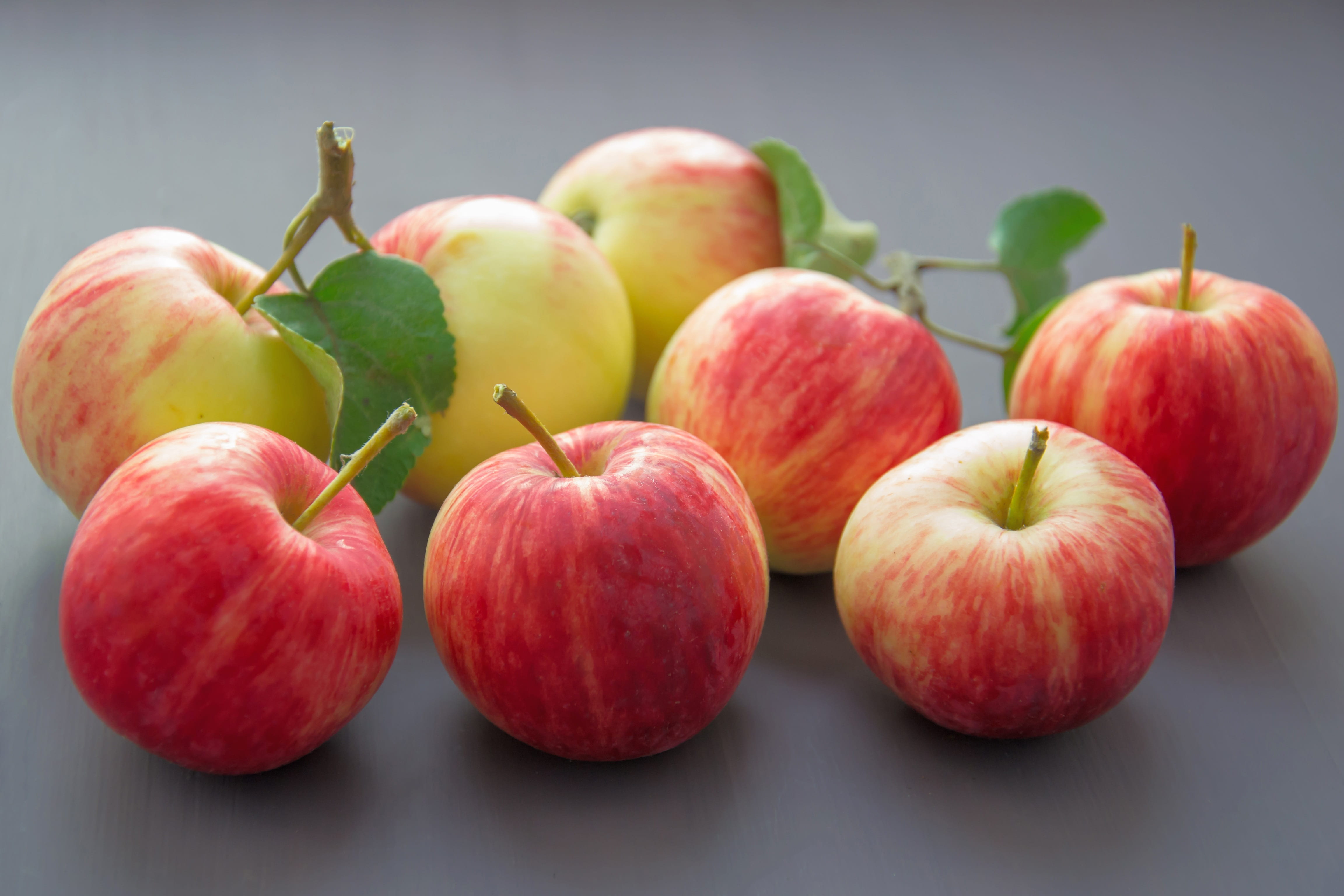 red, honeycrisp, indoors, red apple, close-up, no people, apple - fruit, still life, plant stem, freshness, wellbeing, food, studio shot, yellow-red apples, HD Wallpaper